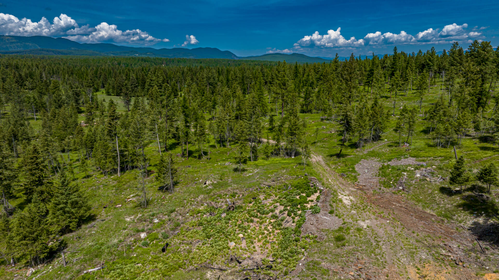 nhn Bald Rock Rd Kalispell, MT 59901
