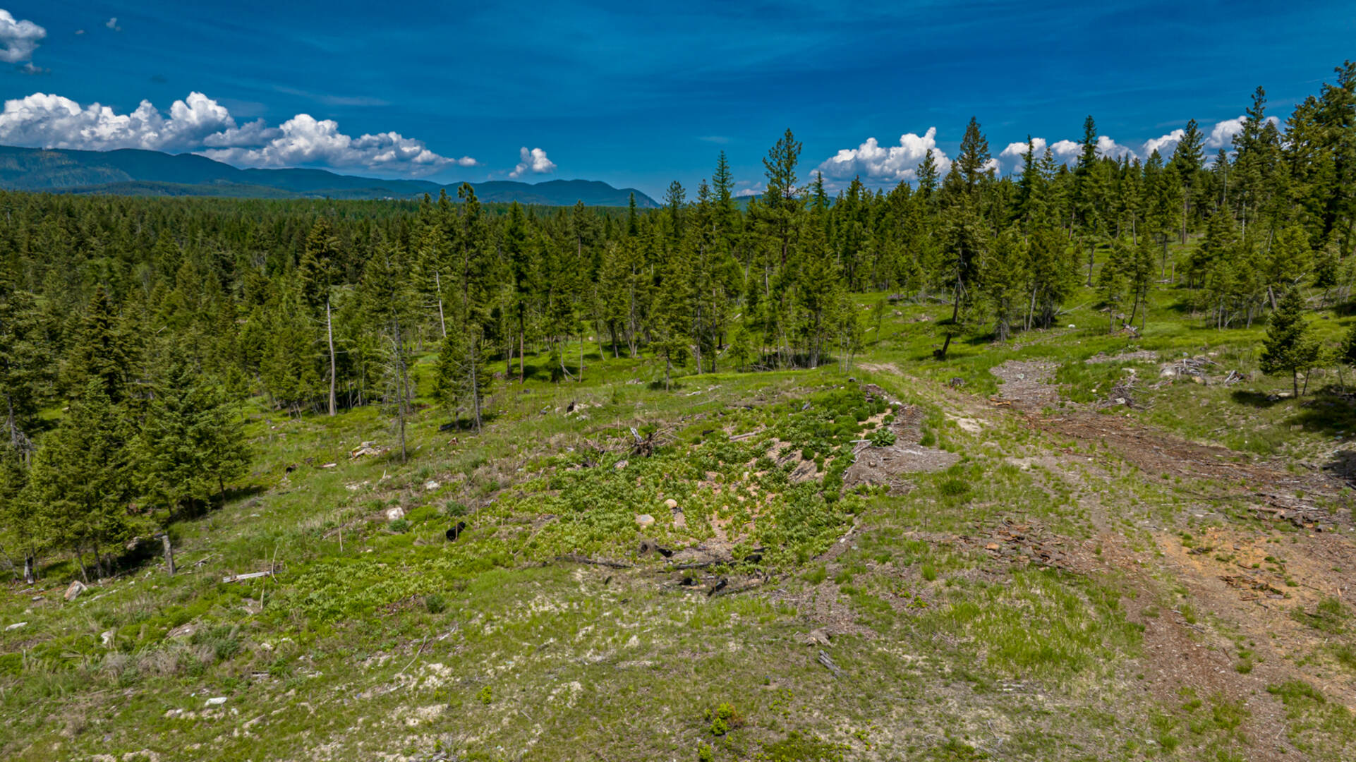 nhn Bald Rock Rd Kalispell, MT 59901