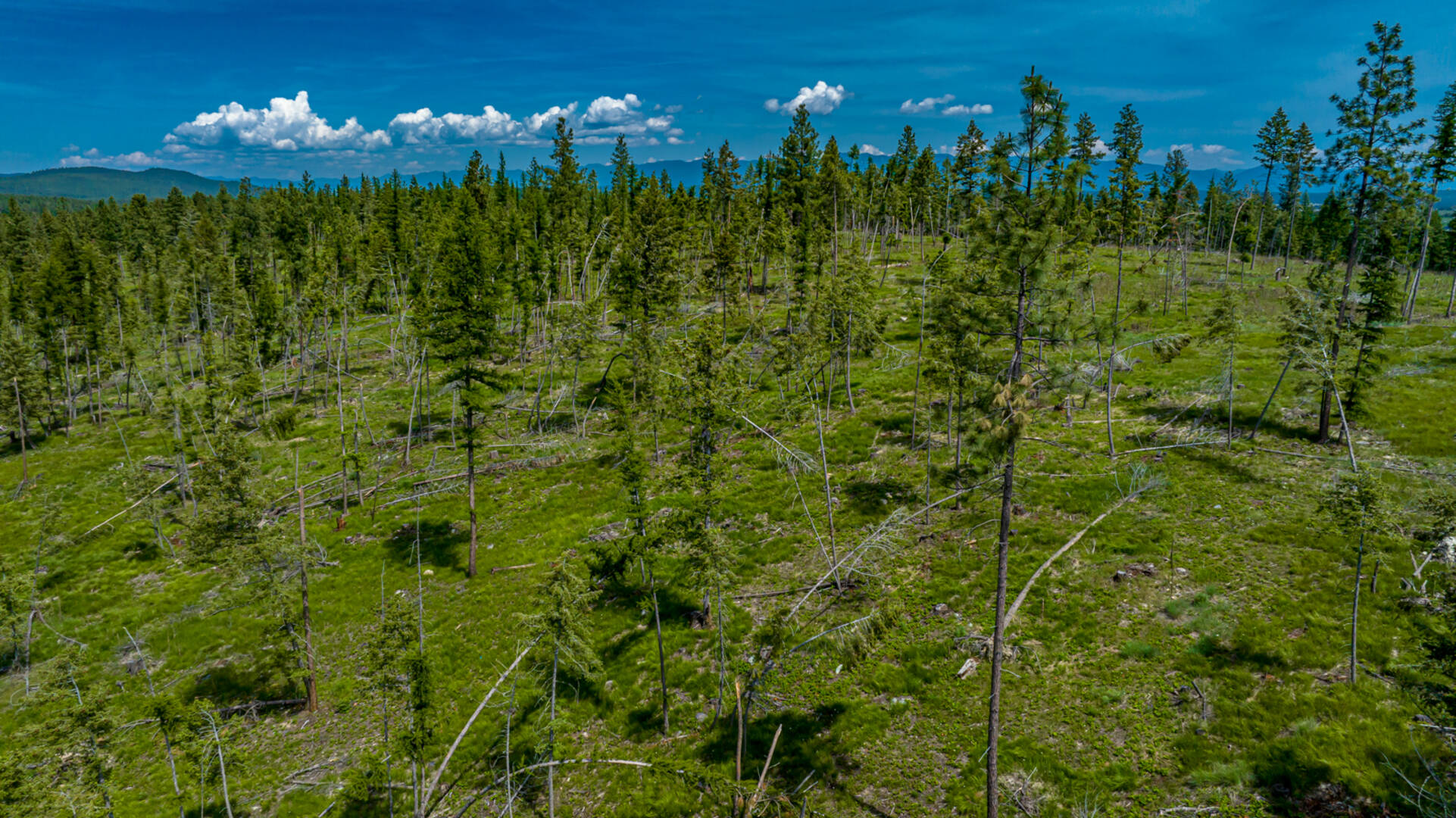 nhn Bald Rock Rd Kalispell, MT 59901