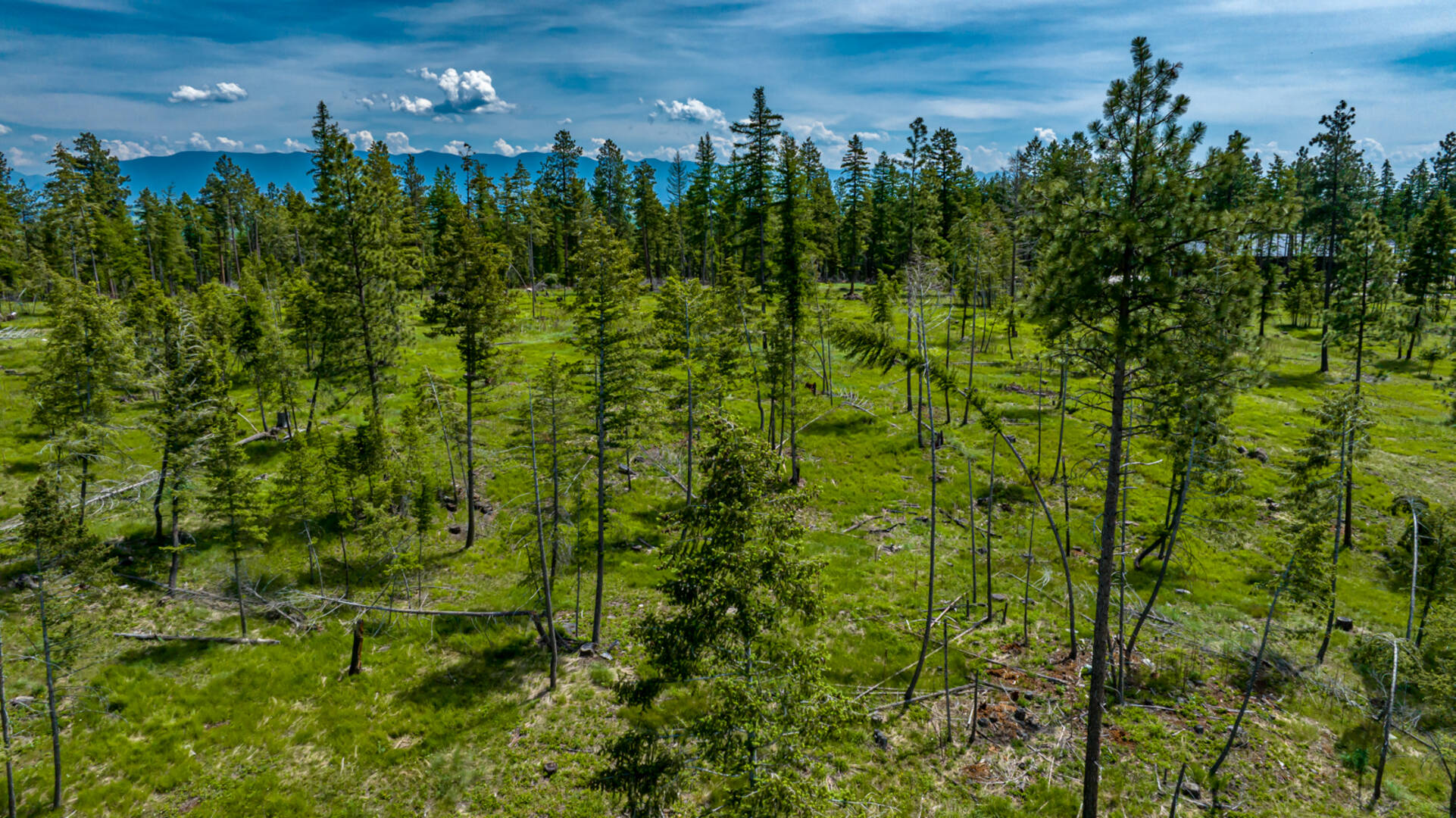 nhn Bald Rock Rd Kalispell, MT 59901