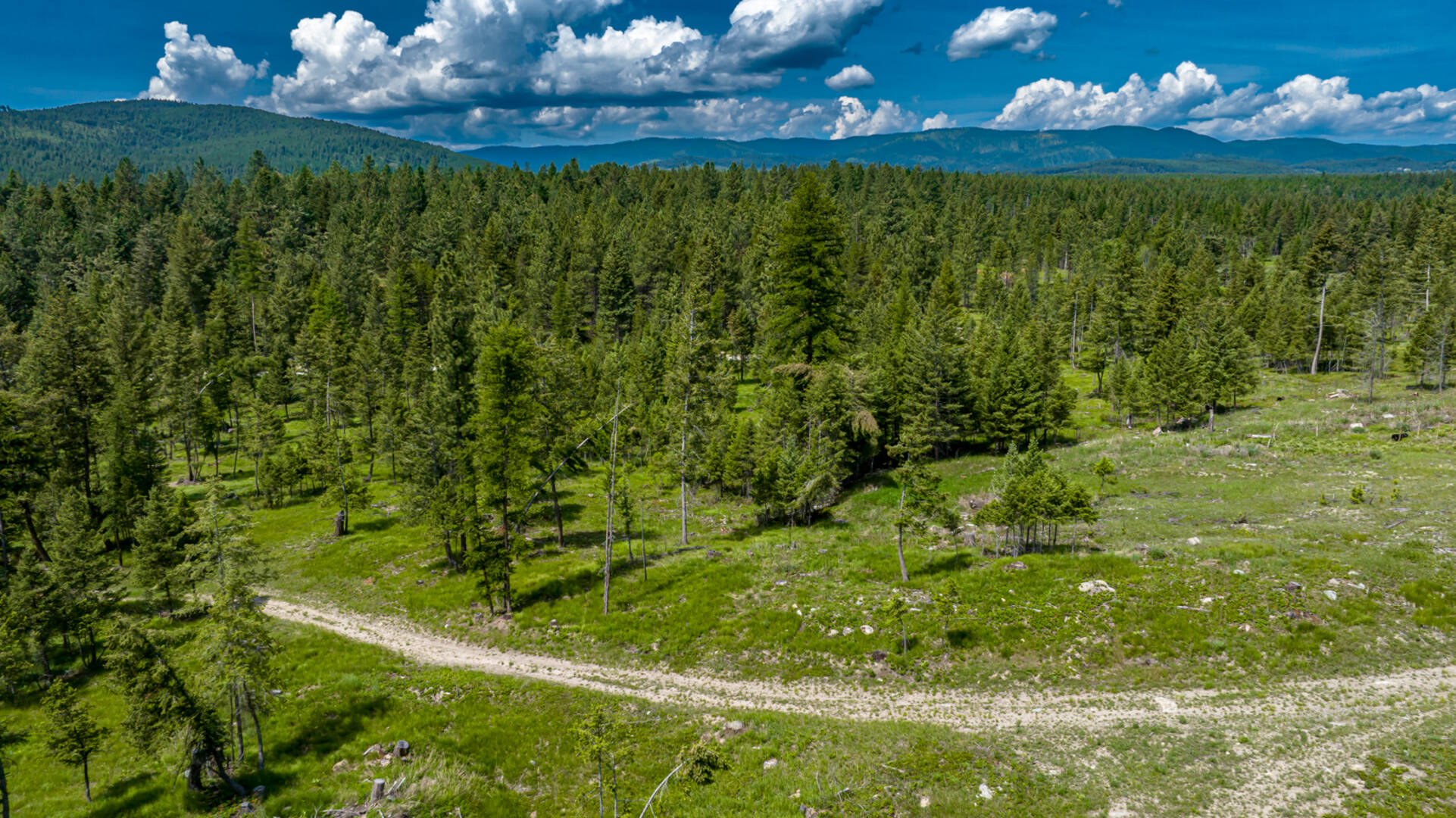 nhn Bald Rock Rd Kalispell, MT 59901