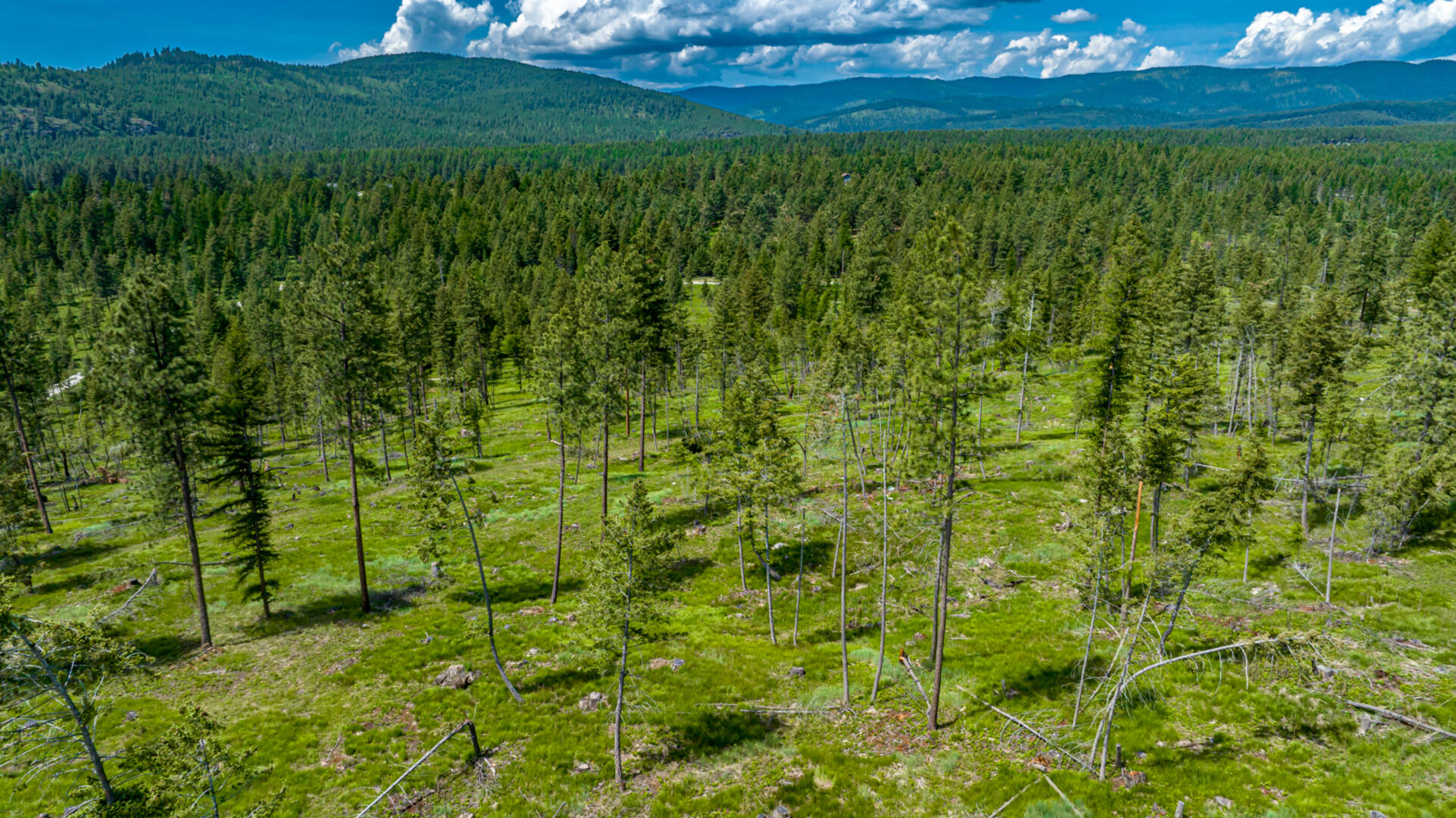nhn Bald Rock Rd Kalispell, MT 59901