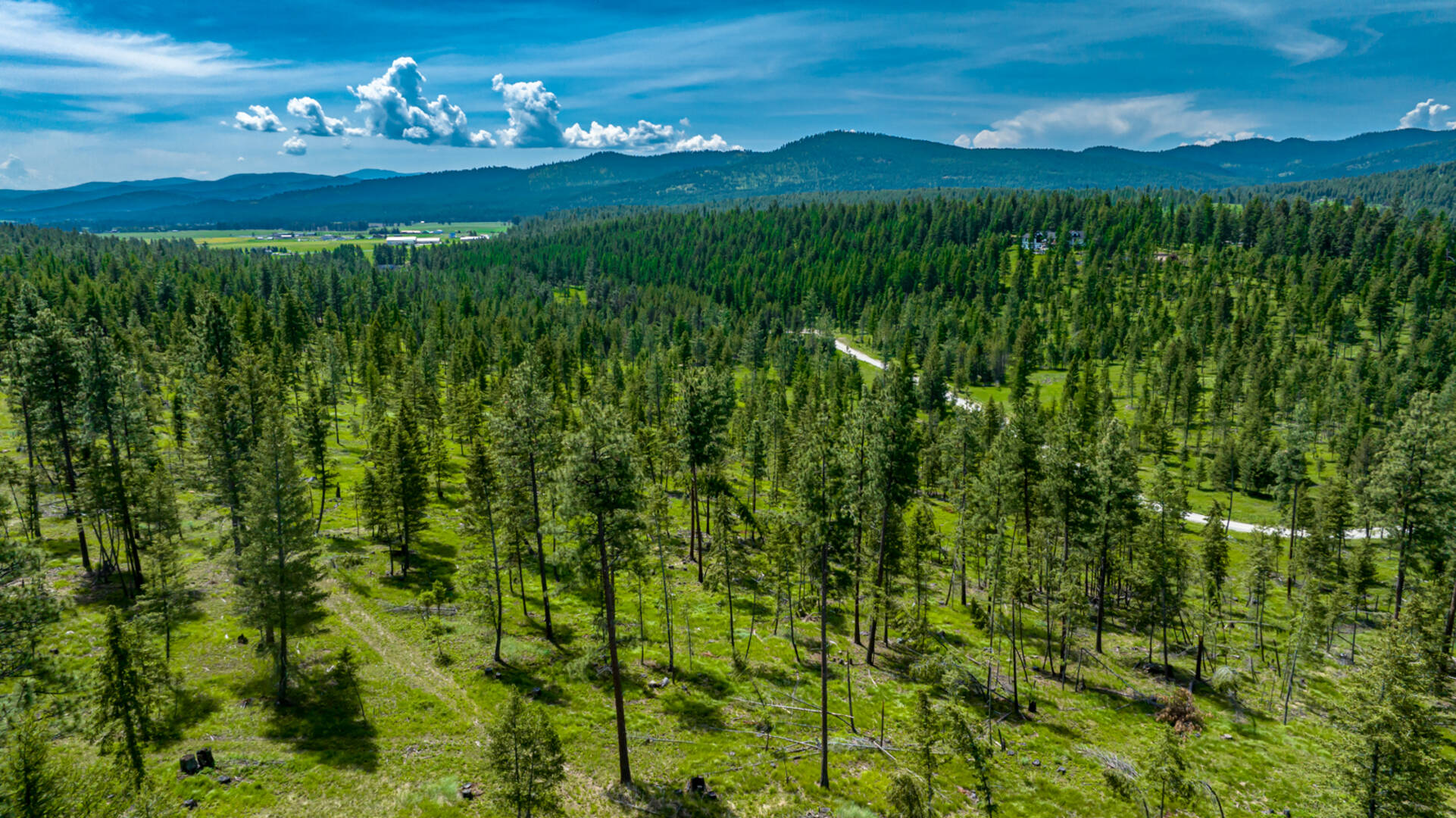 nhn Bald Rock Rd Kalispell, MT 59901