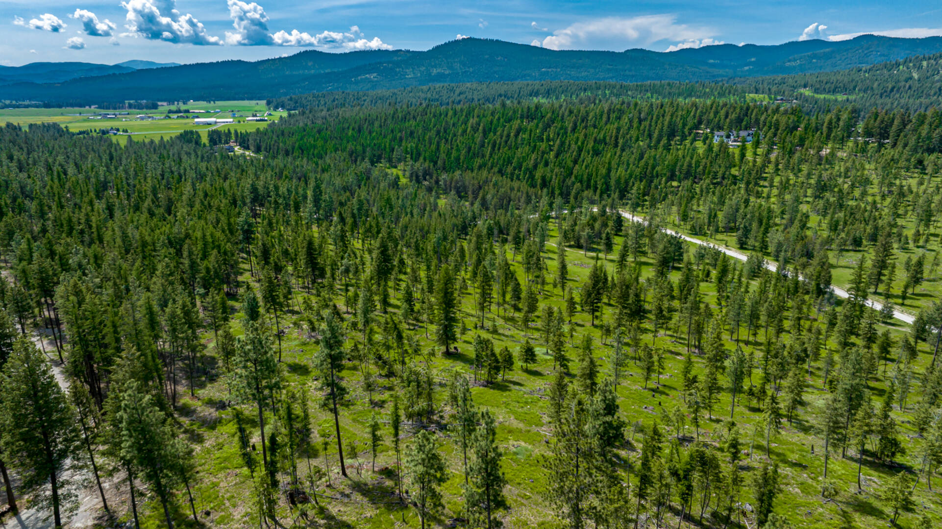 nhn Bald Rock Rd Kalispell, MT 59901