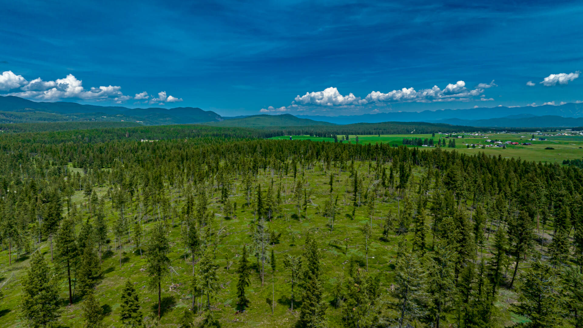 nhn Bald Rock Rd Kalispell, MT 59901