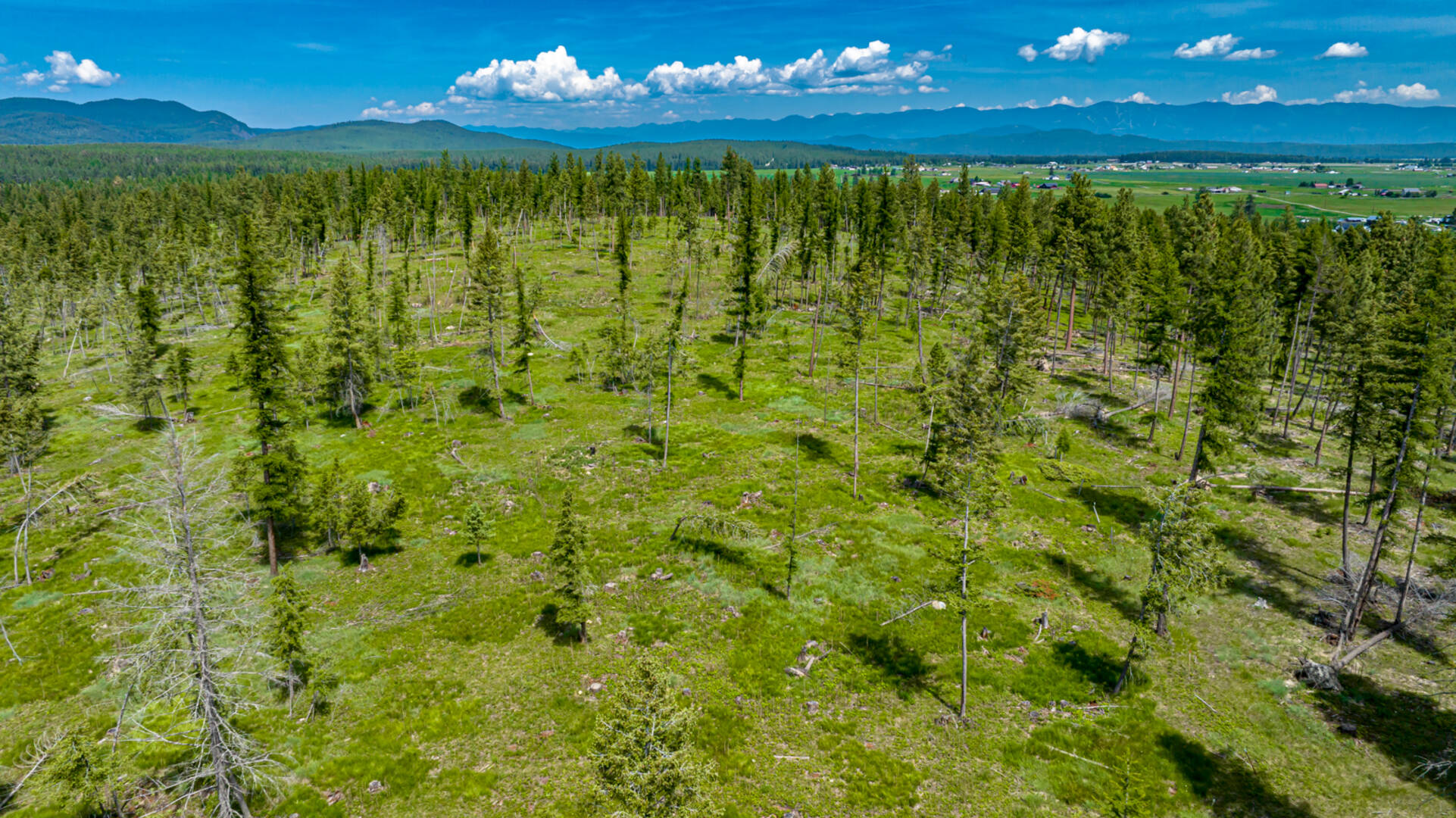 nhn Bald Rock Rd Kalispell, MT 59901