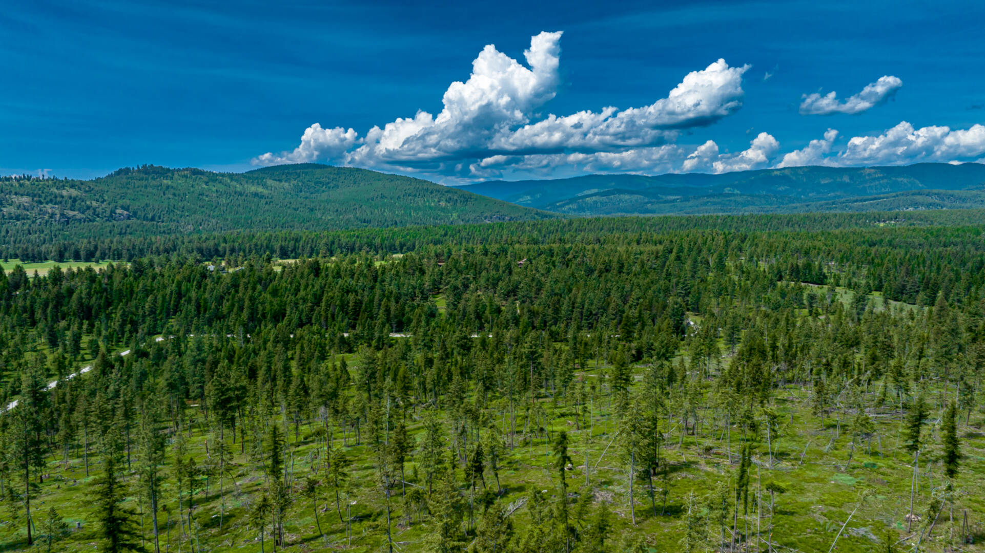nhn Bald Rock Rd Kalispell, MT 59901