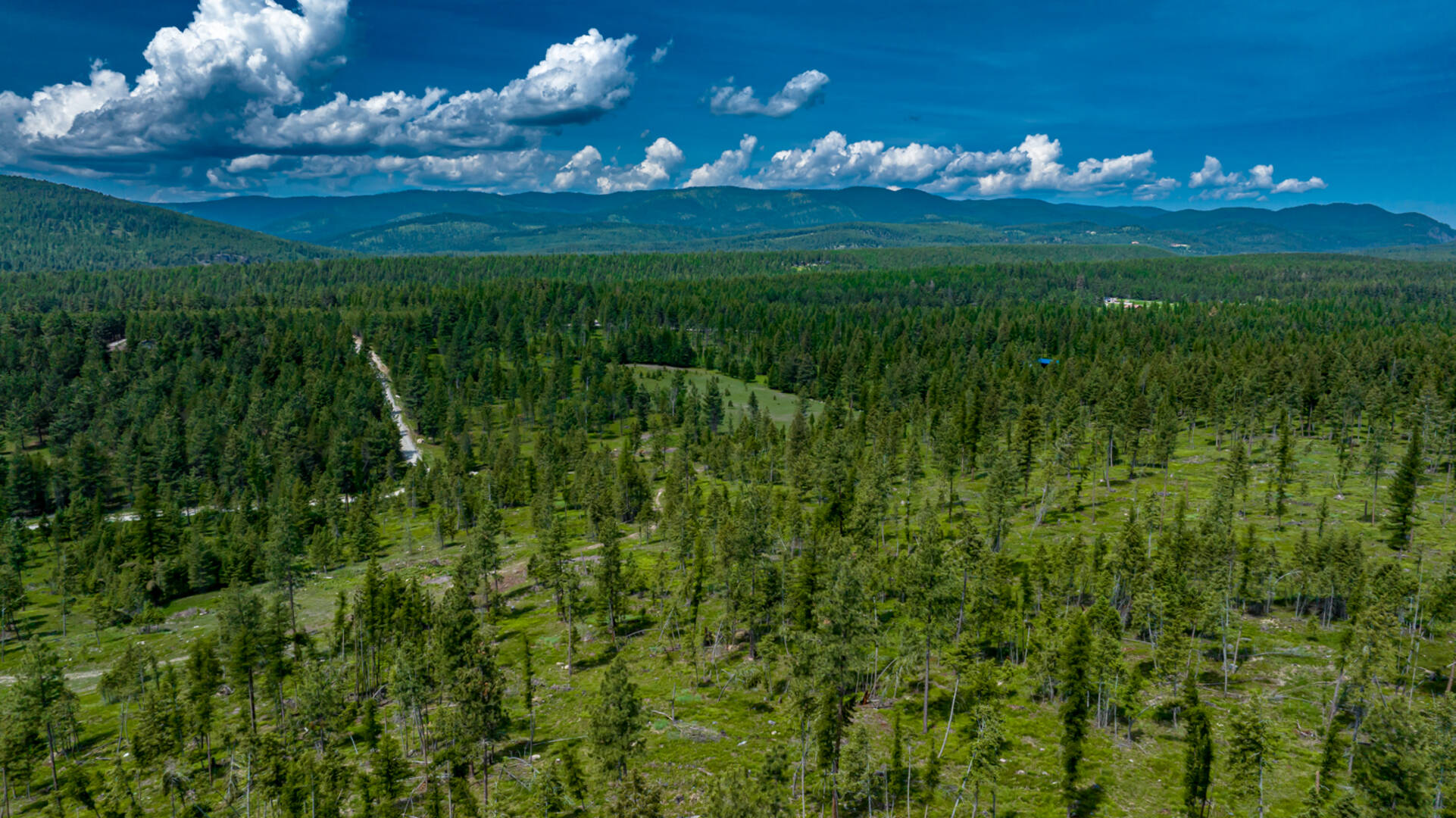 nhn Bald Rock Rd Kalispell, MT 59901