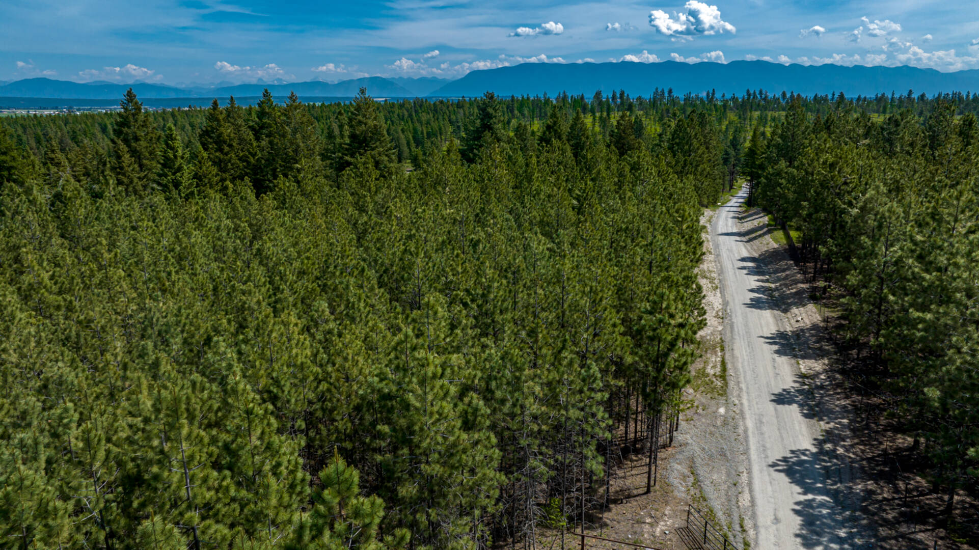 nhn Bald Rock Rd Kalispell, MT 59901