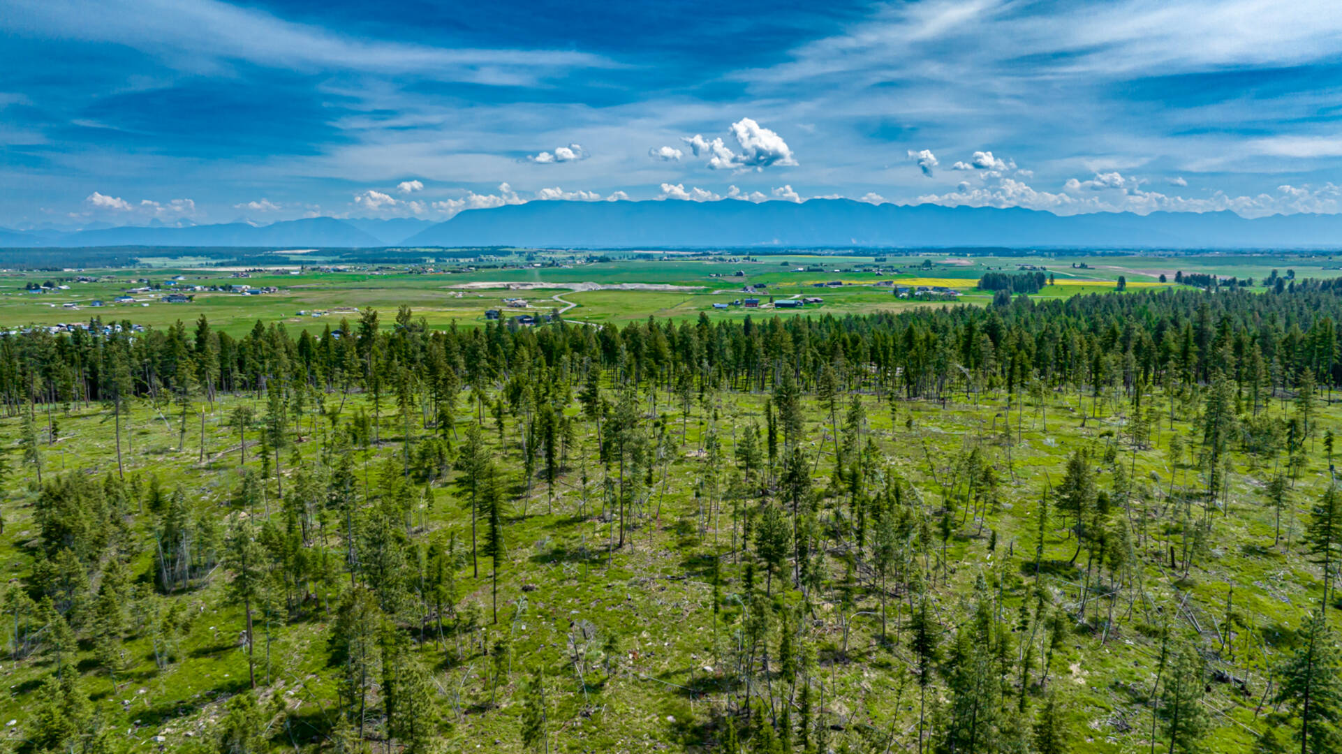 nhn Bald Rock Rd Kalispell, MT 59901