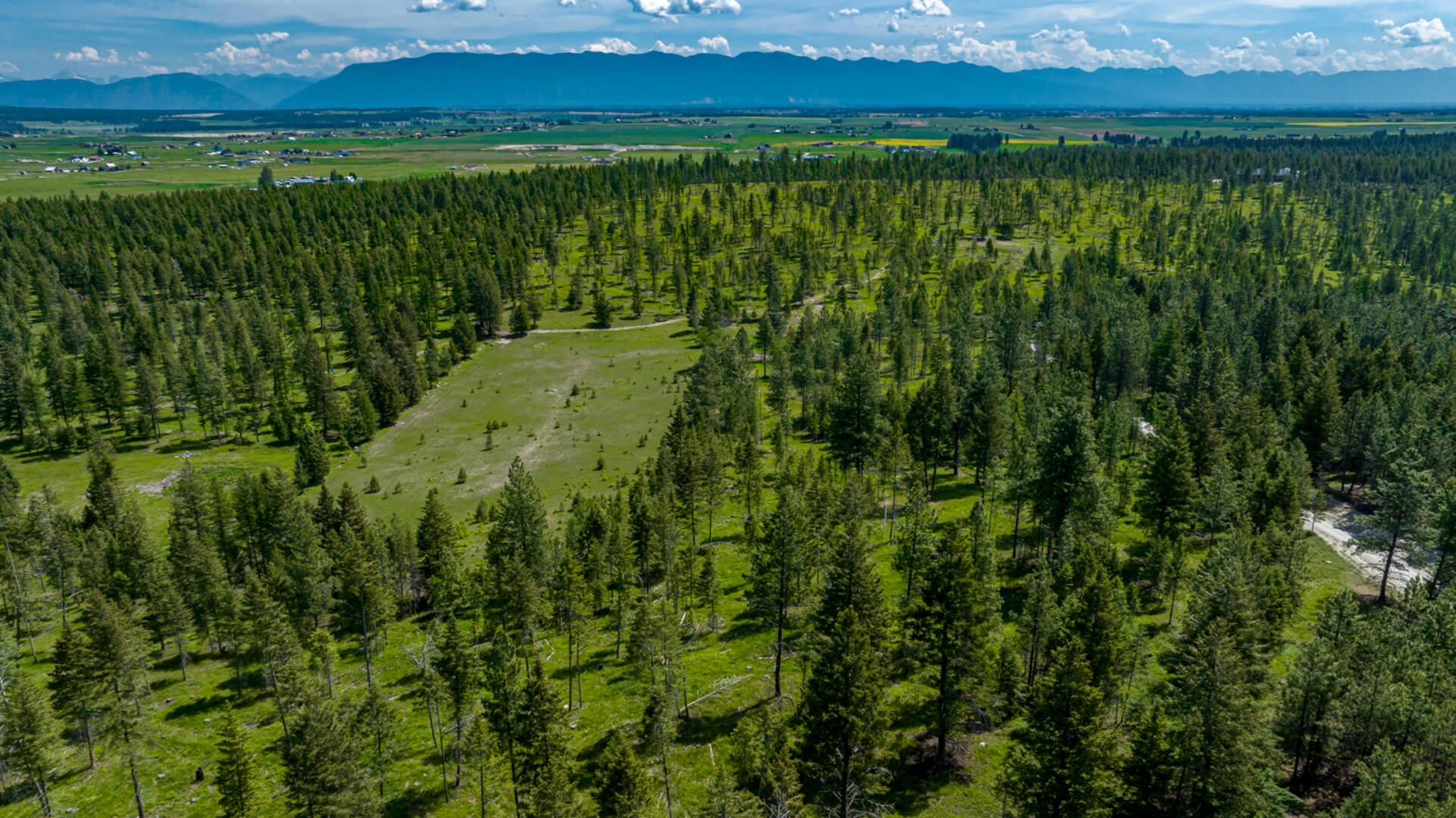 nhn Bald Rock Rd Kalispell, MT 59901
