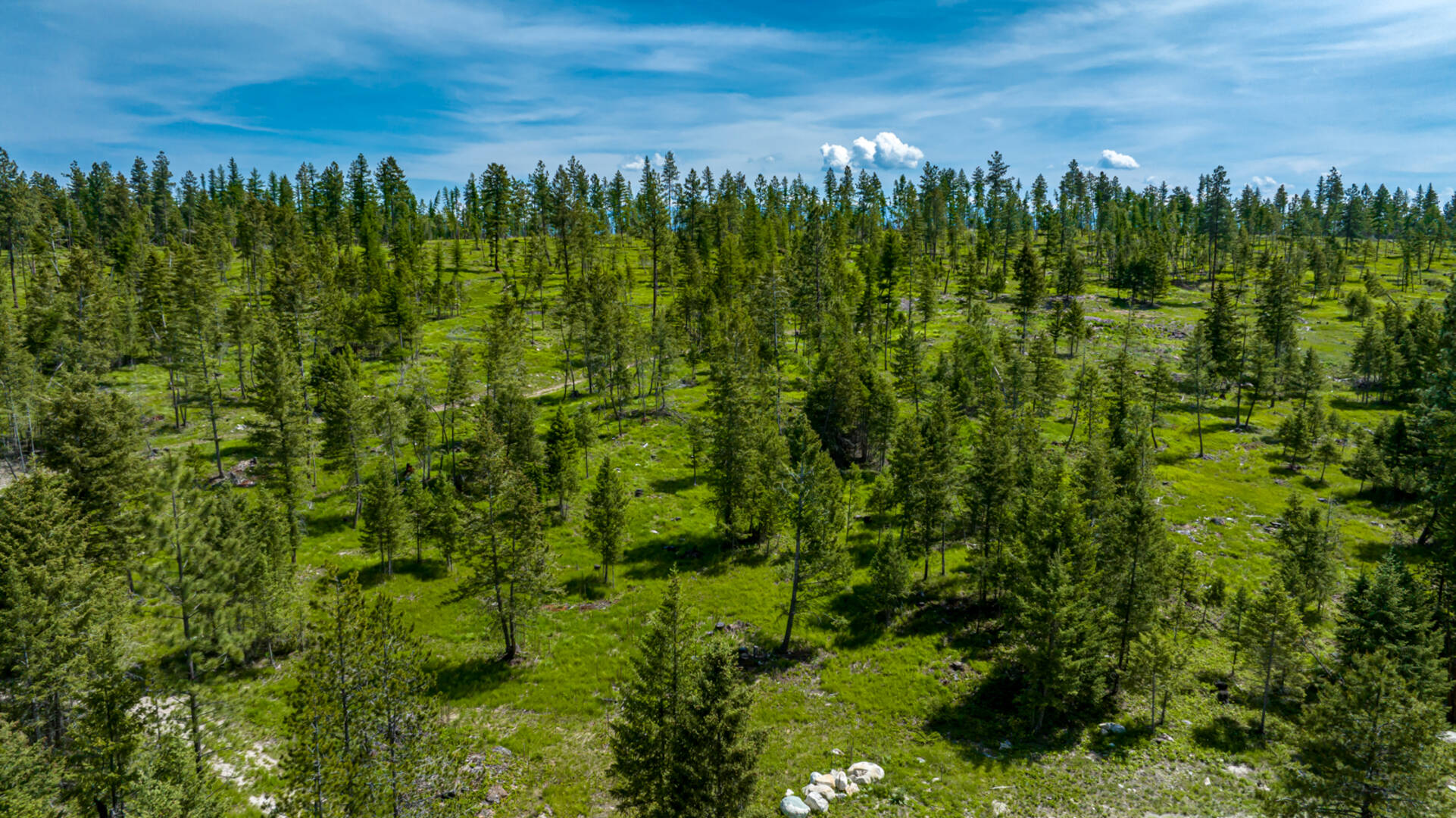 nhn Bald Rock Rd Kalispell, MT 59901