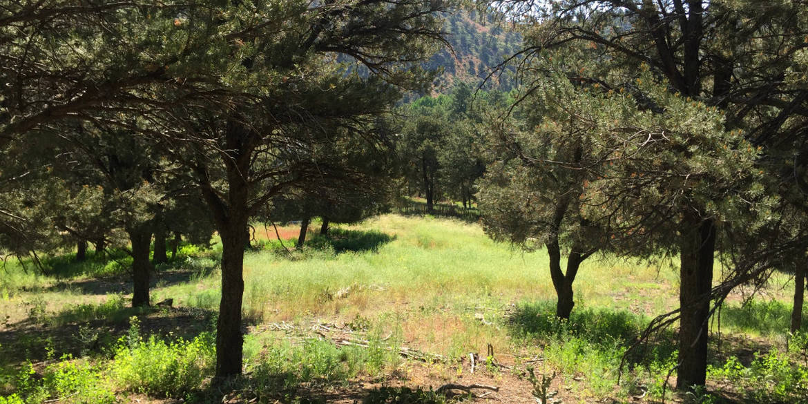 Brivity Tbd Cr 40 Coaldale, CO 81222