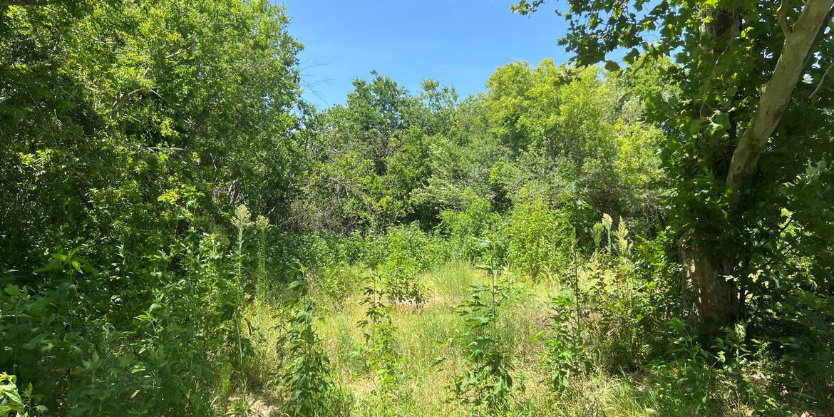 Brivity 4302 Luttrell St Texas City, TX 77591