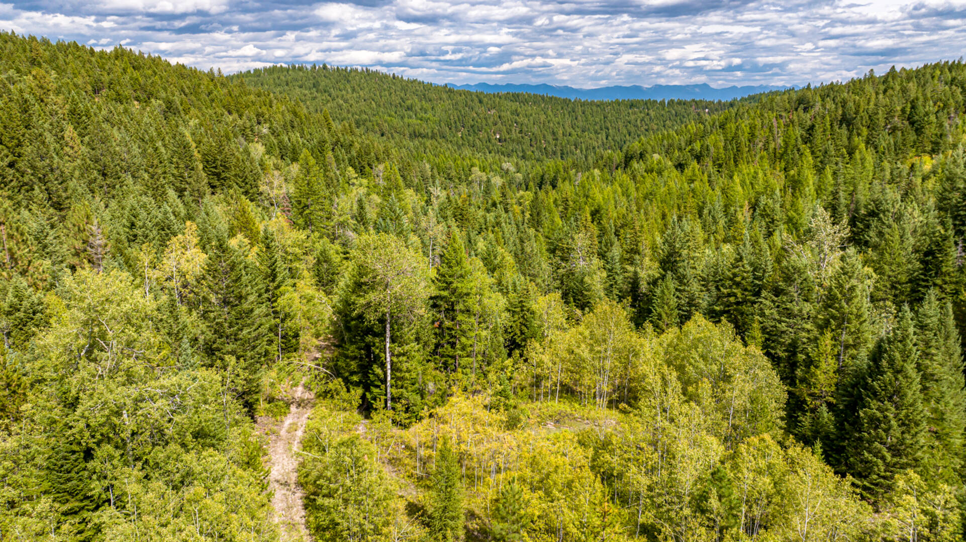 Nhn Sheep Lane Kalispell, MT 59901