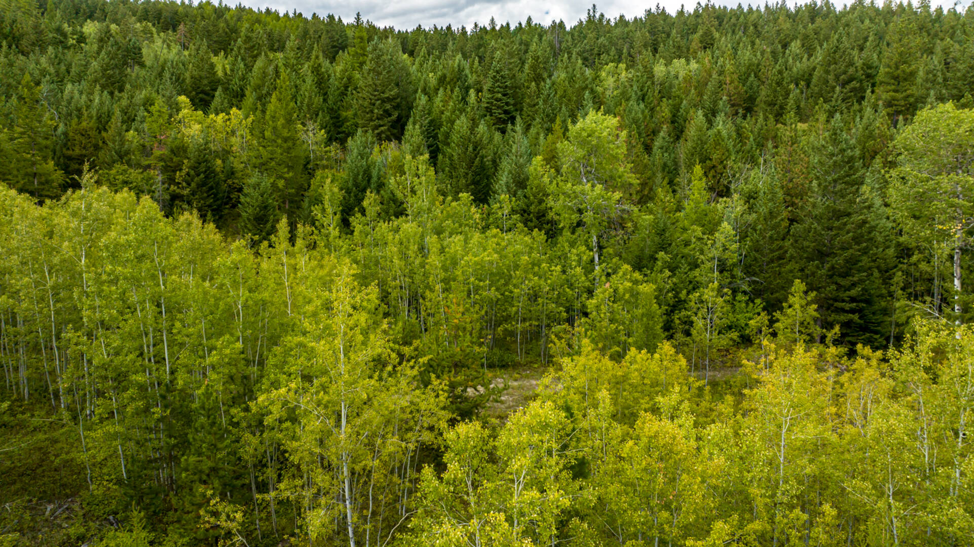 Nhn Sheep Lane Kalispell, MT 59901