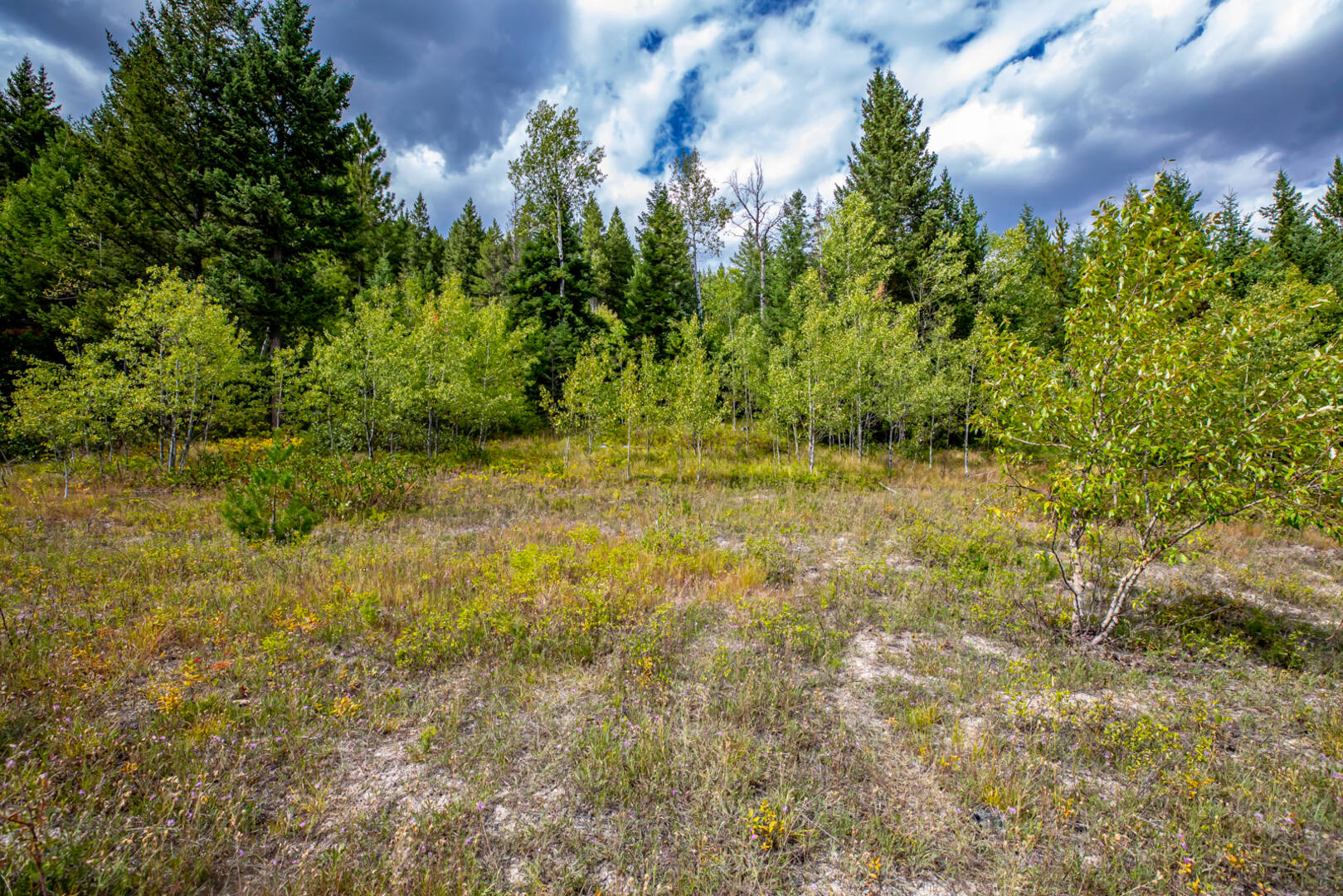 Nhn Sheep Lane Kalispell, MT 59901