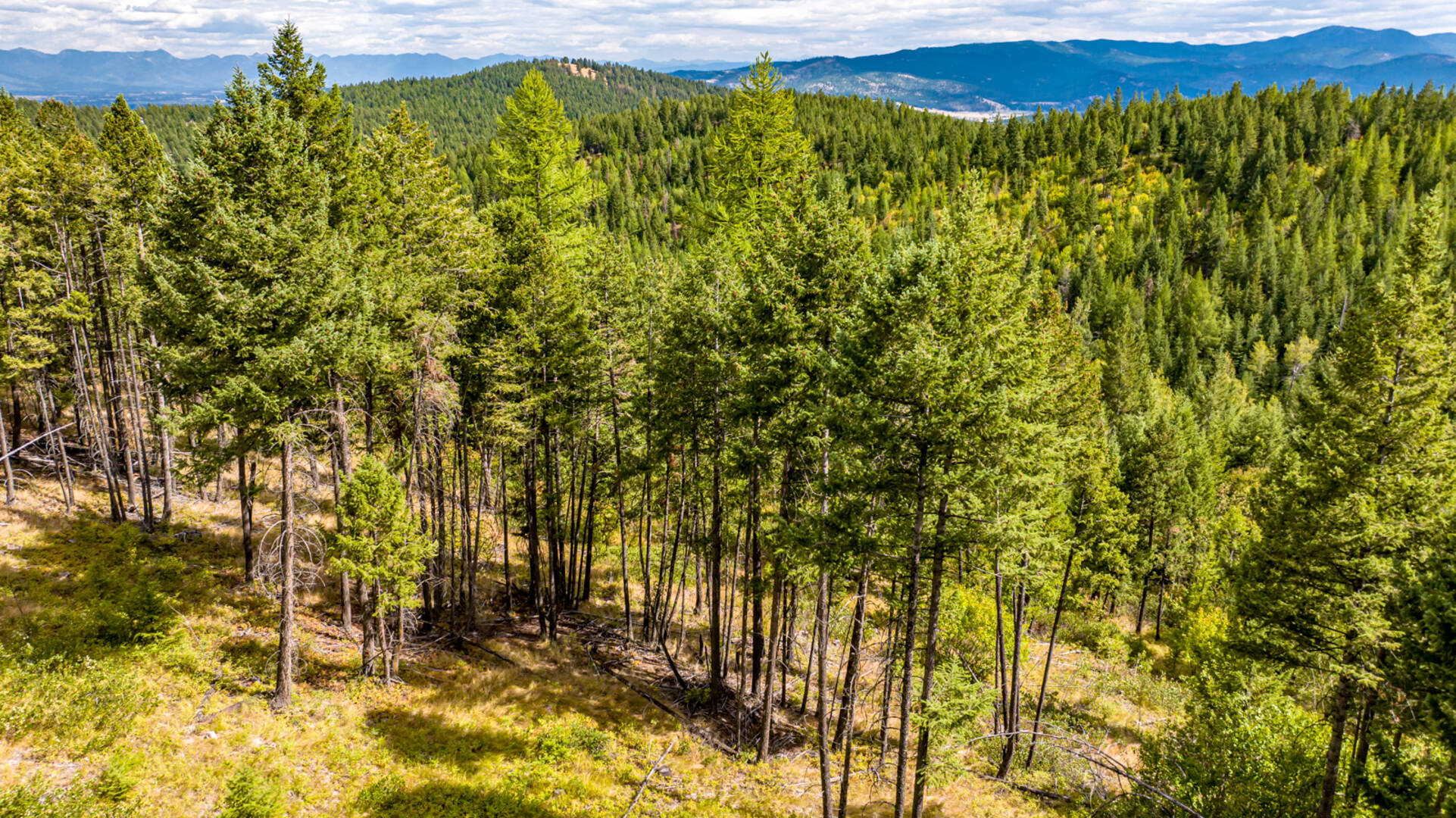 Nhn Sheep Lane Kalispell, MT 59901