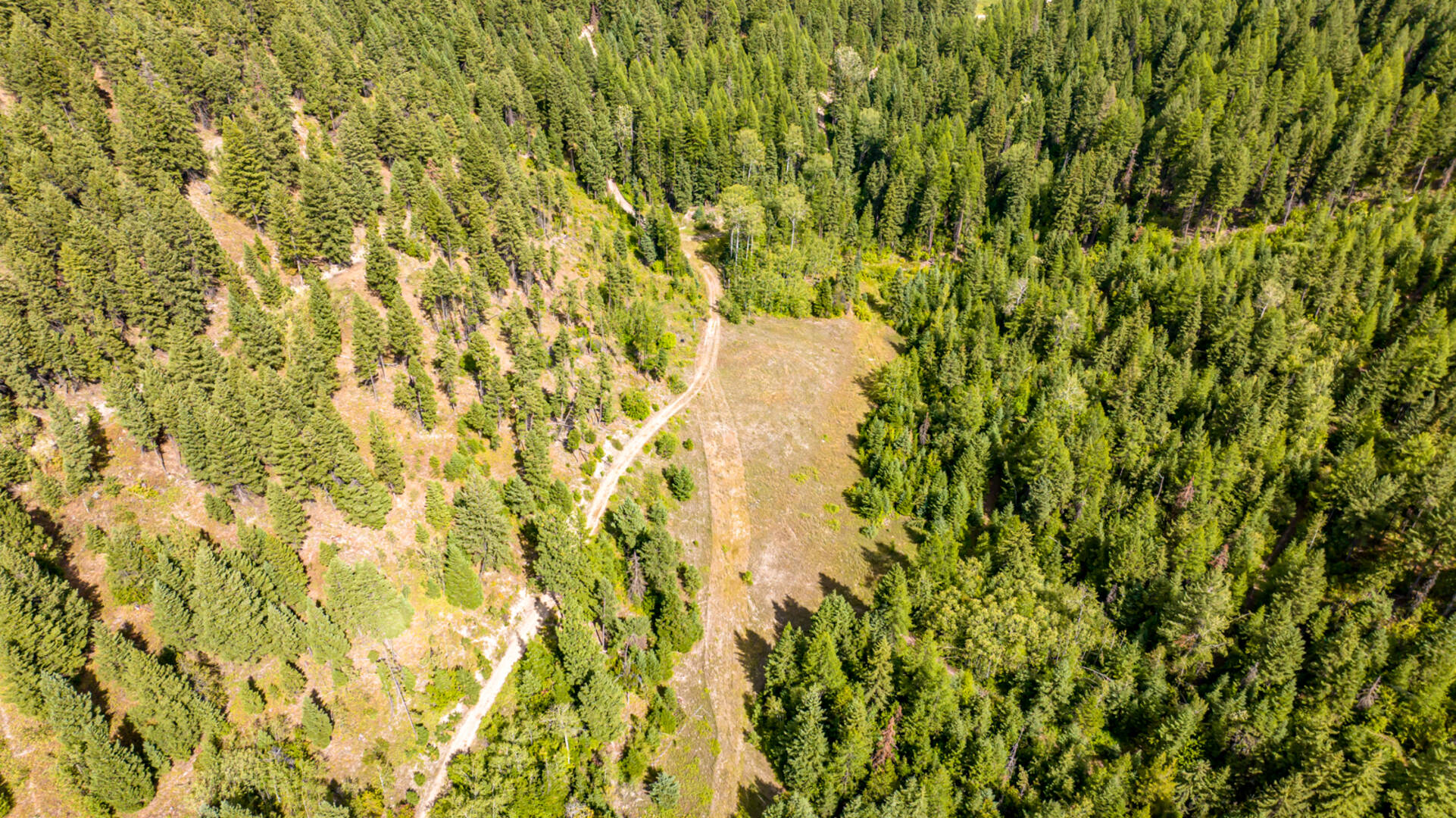 Nhn Sheep Lane Kalispell, MT 59901
