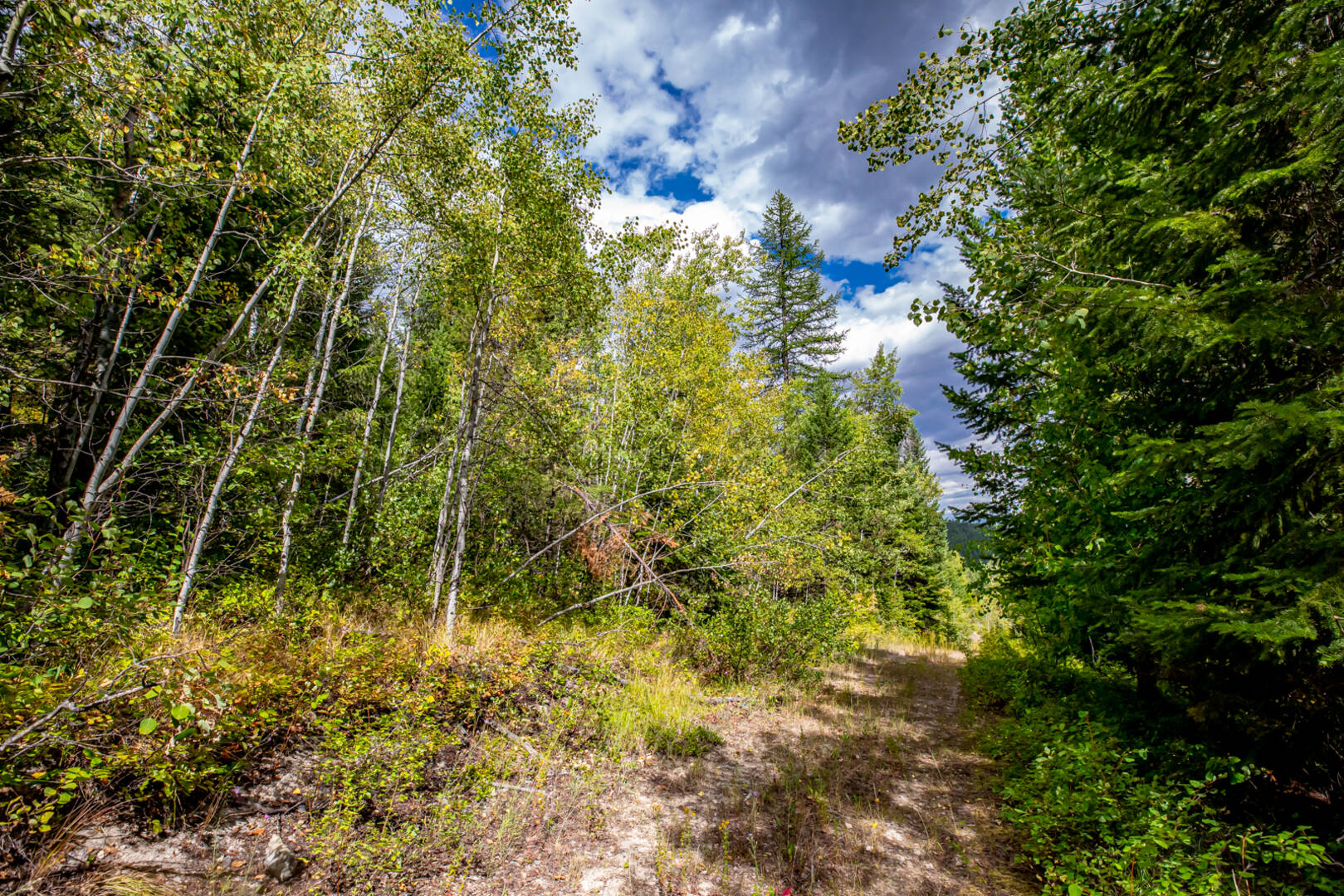 Nhn Sheep Lane Kalispell, MT 59901