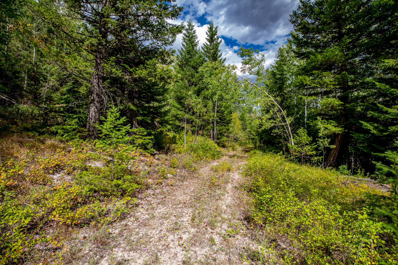 Nhn Sheep Lane Kalispell, MT 59901