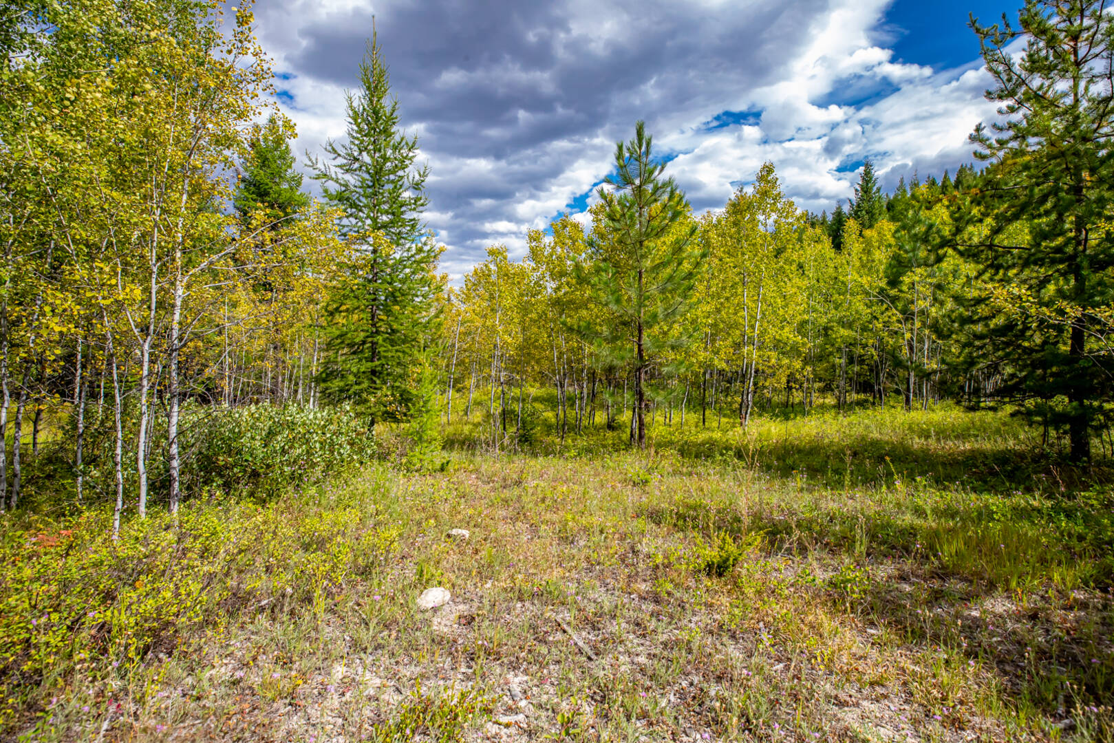 Nhn Sheep Lane Kalispell, MT 59901