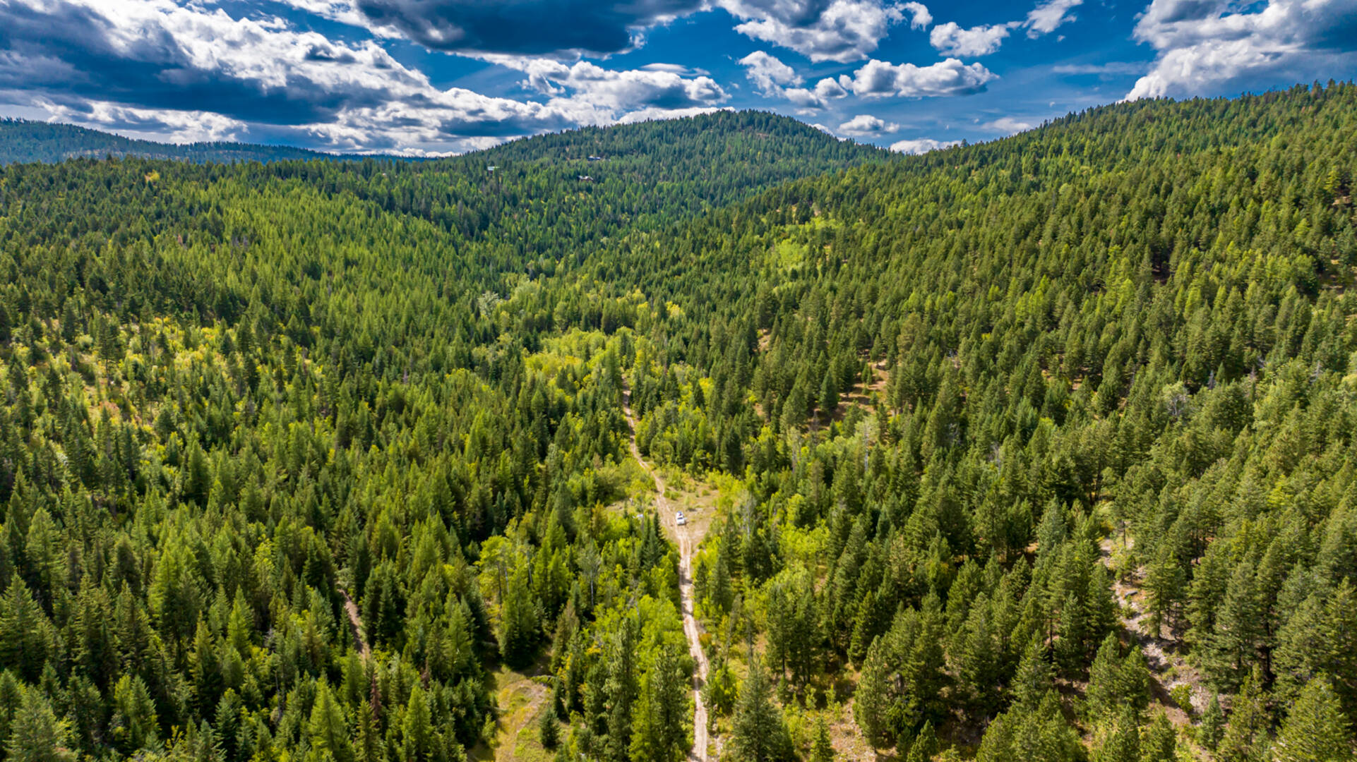 Nhn Sheep Lane Kalispell, MT 59901