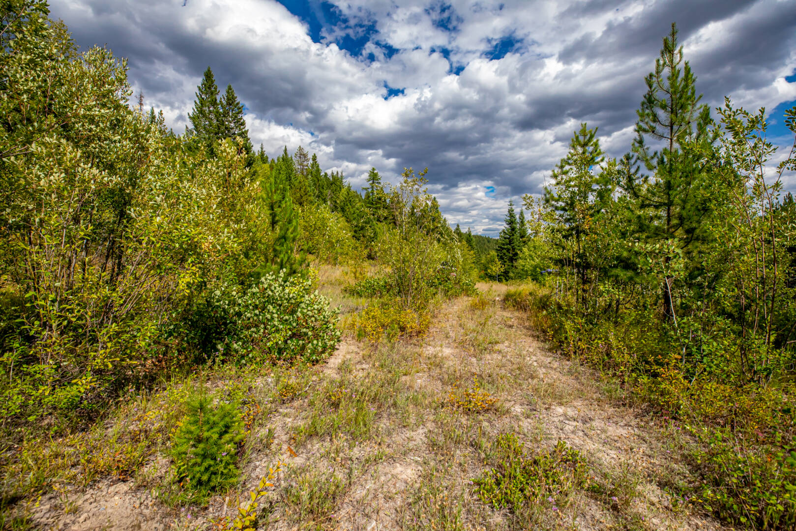 Nhn Sheep Lane Kalispell, MT 59901