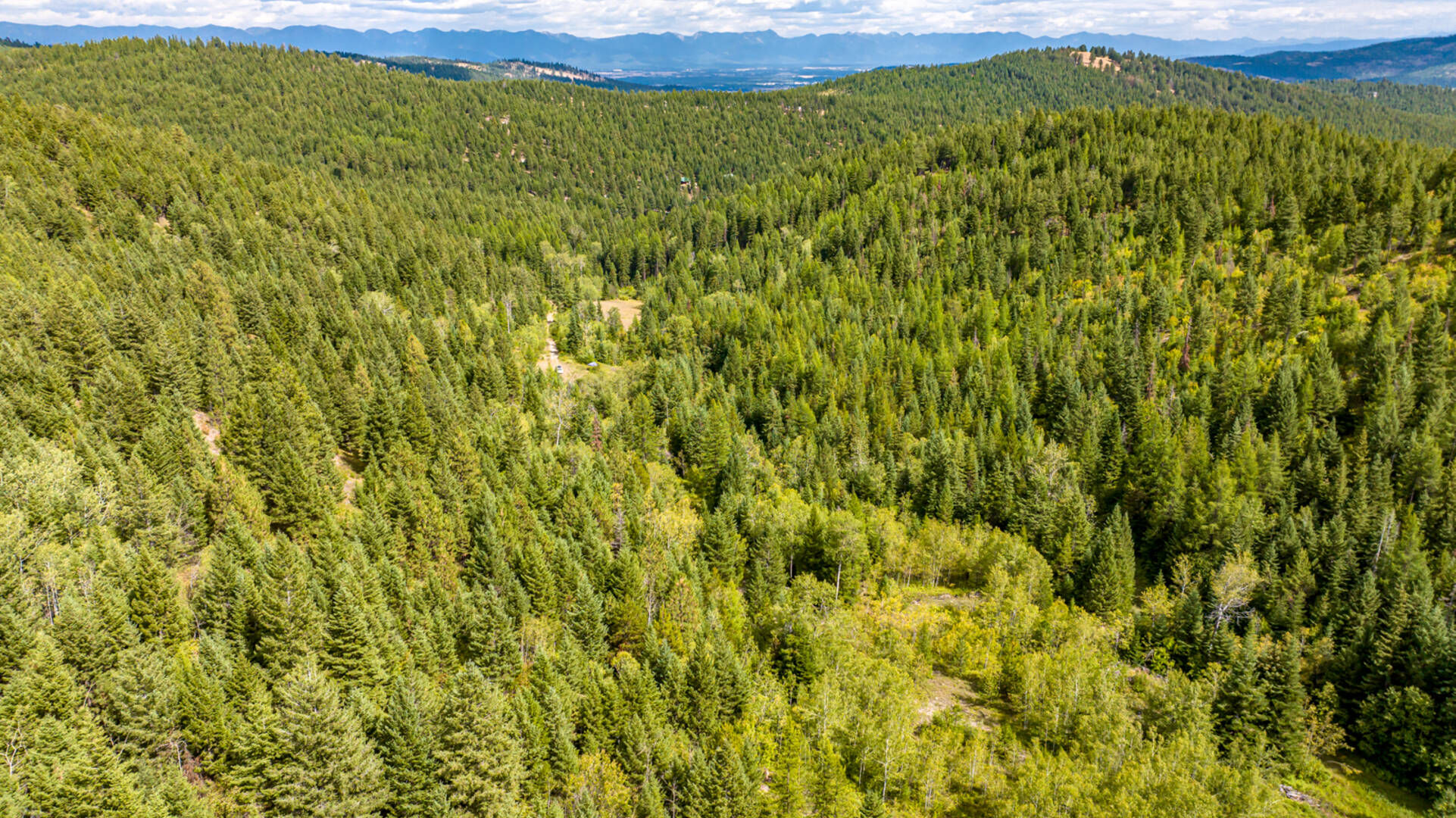 Nhn Sheep Lane Kalispell, MT 59901