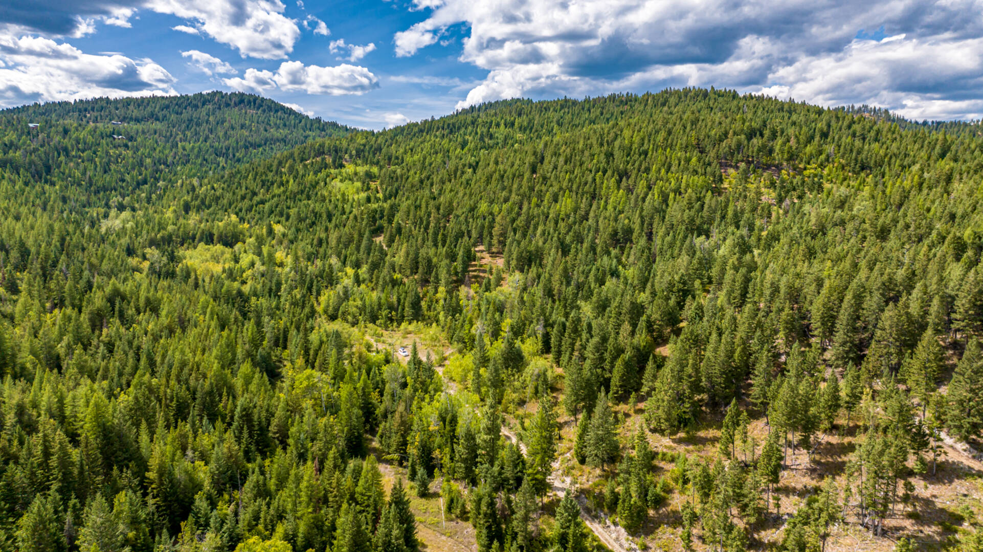 Nhn Sheep Lane Kalispell, MT 59901