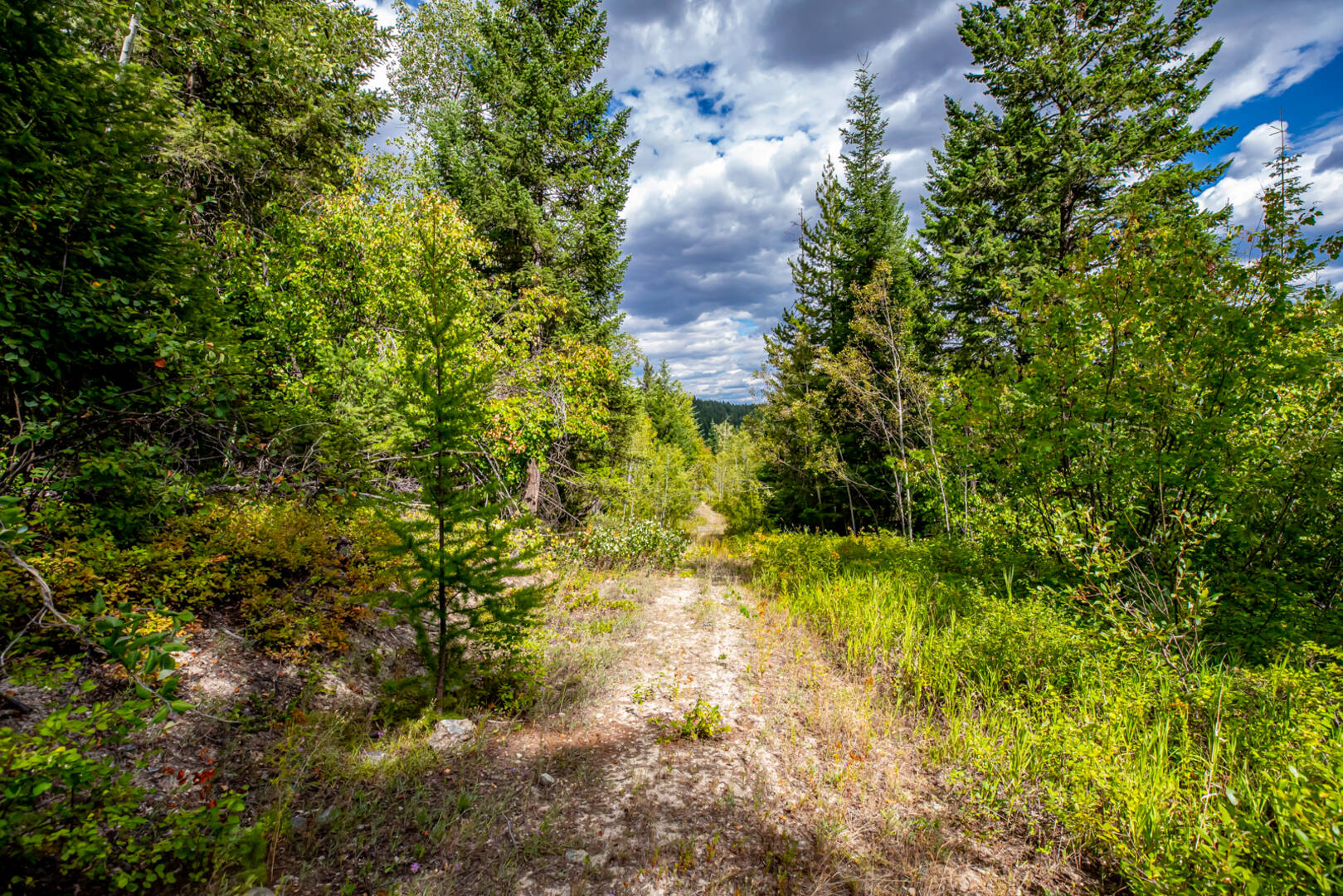 Nhn Sheep Lane Kalispell, MT 59901