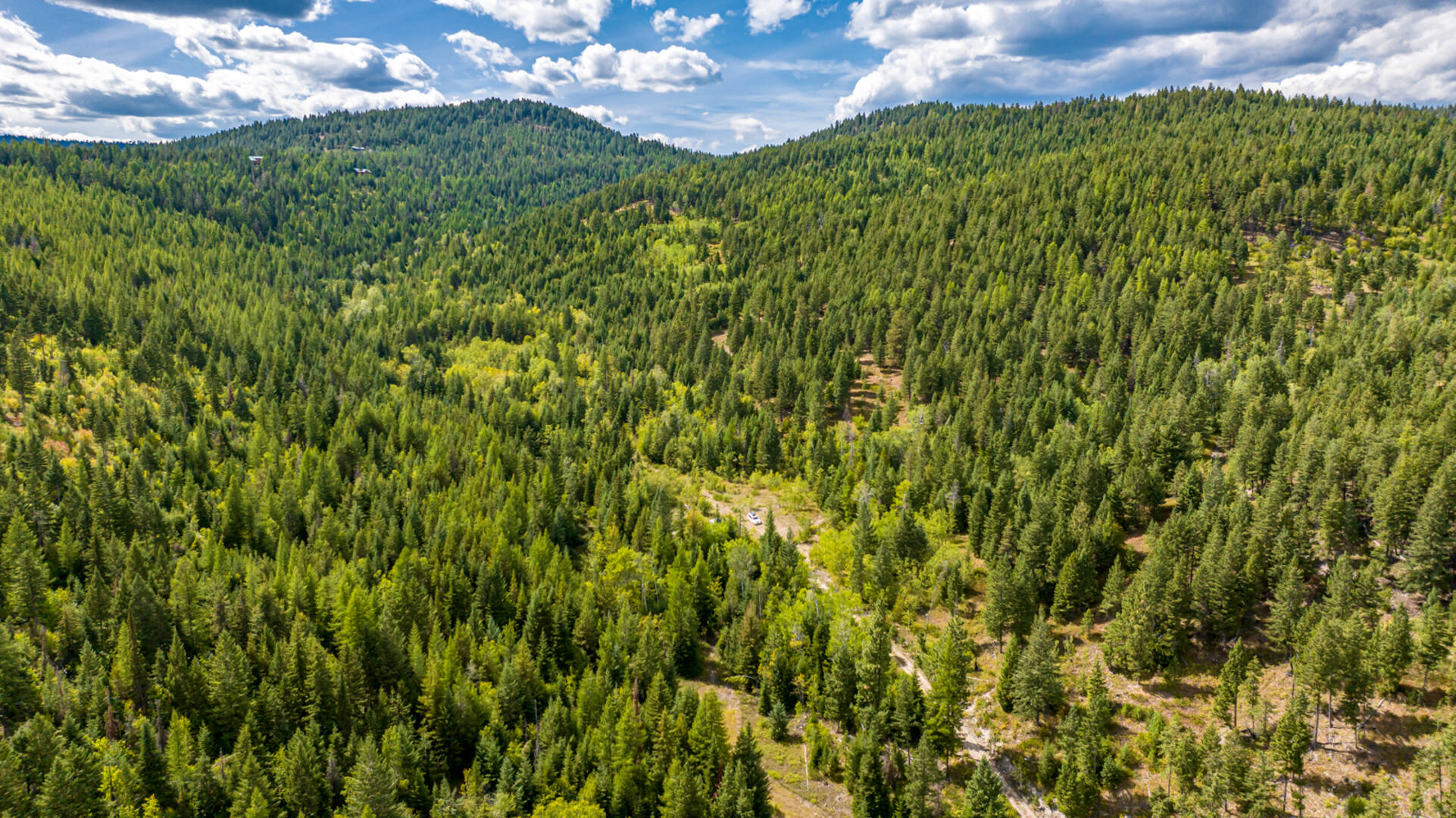 Nhn Sheep Lane Kalispell, MT 59901