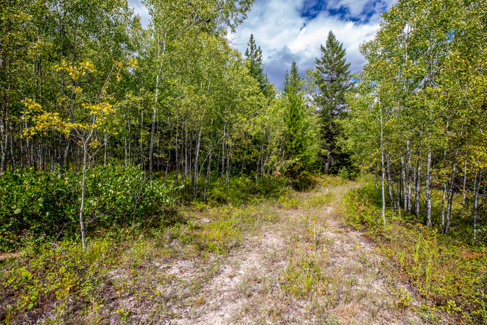 Nhn Sheep Lane Kalispell, MT 59901