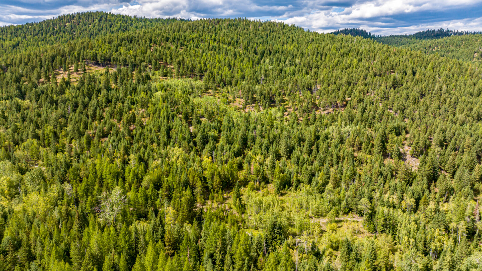Nhn Sheep Lane Kalispell, MT 59901