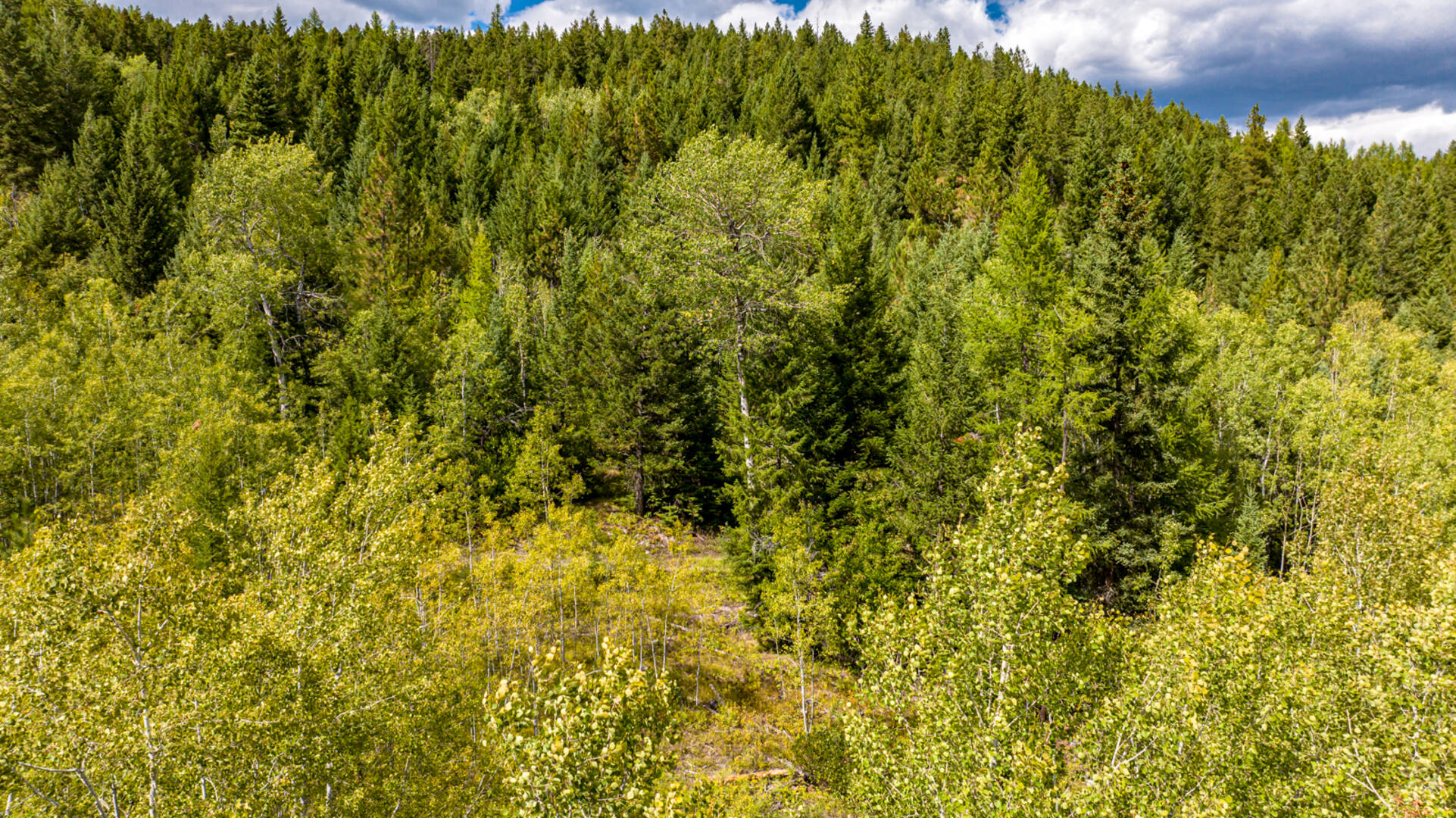 Nhn Sheep Lane Kalispell, MT 59901