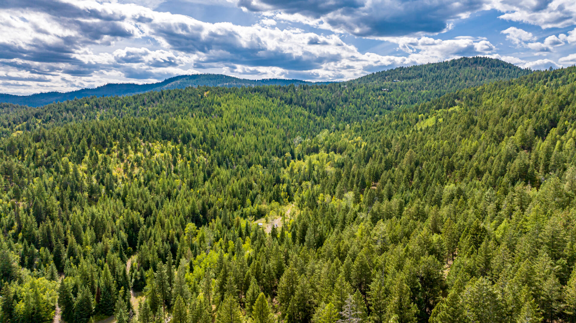Nhn Sheep Lane Kalispell, MT 59901