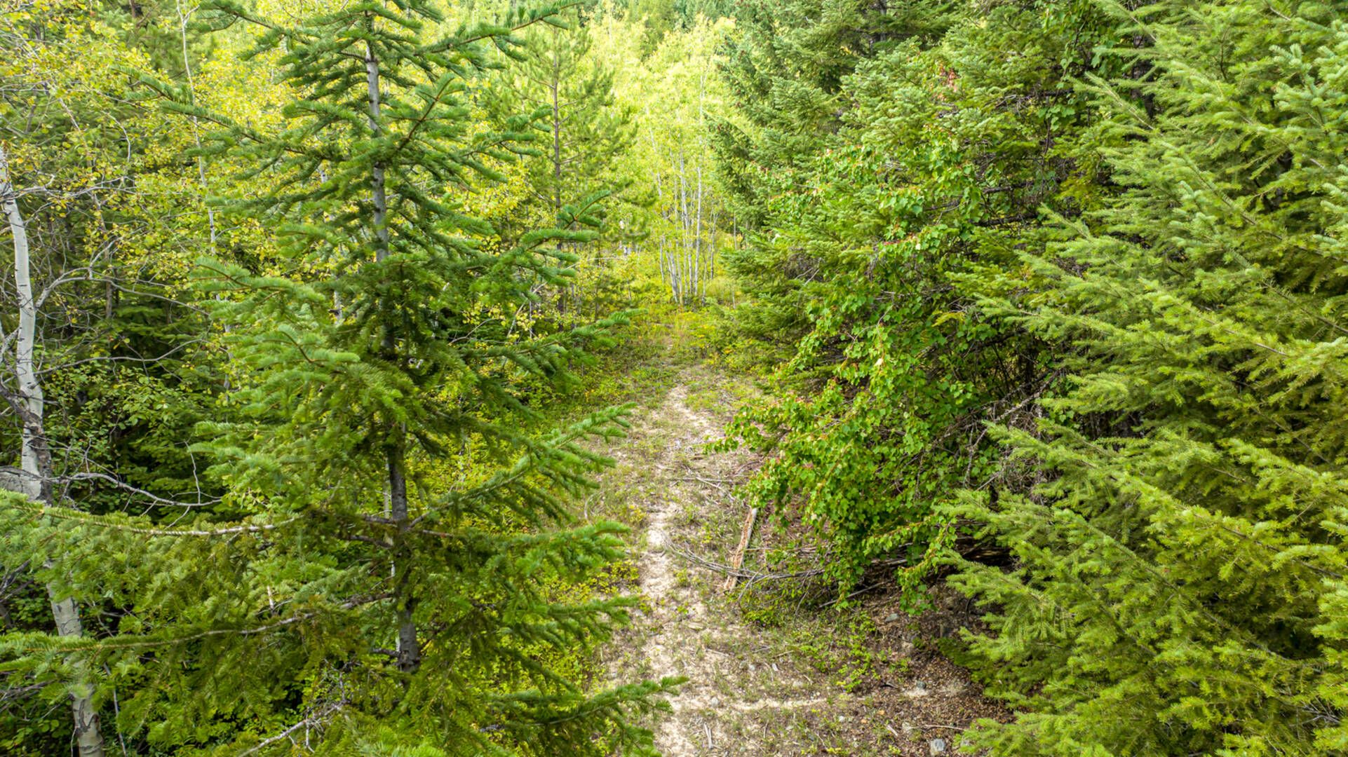Nhn Sheep Lane Kalispell, MT 59901