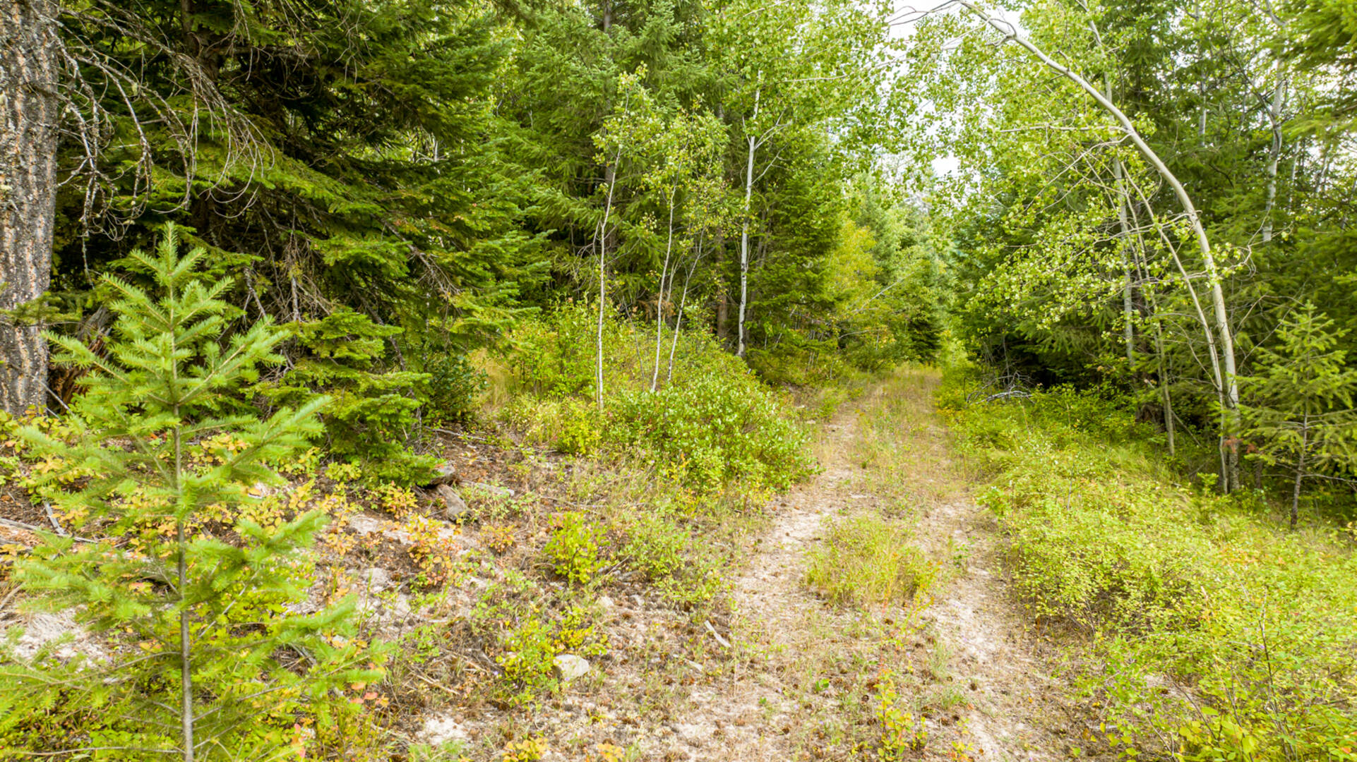 Nhn Sheep Lane Kalispell, MT 59901