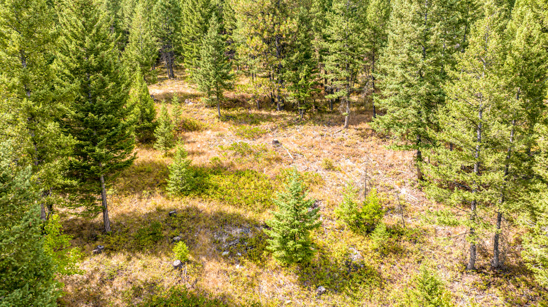 Nhn Sheep Lane Kalispell, MT 59901