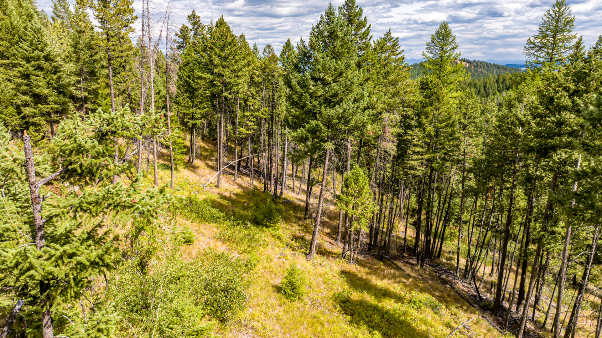 Nhn Sheep Lane Kalispell, MT 59901