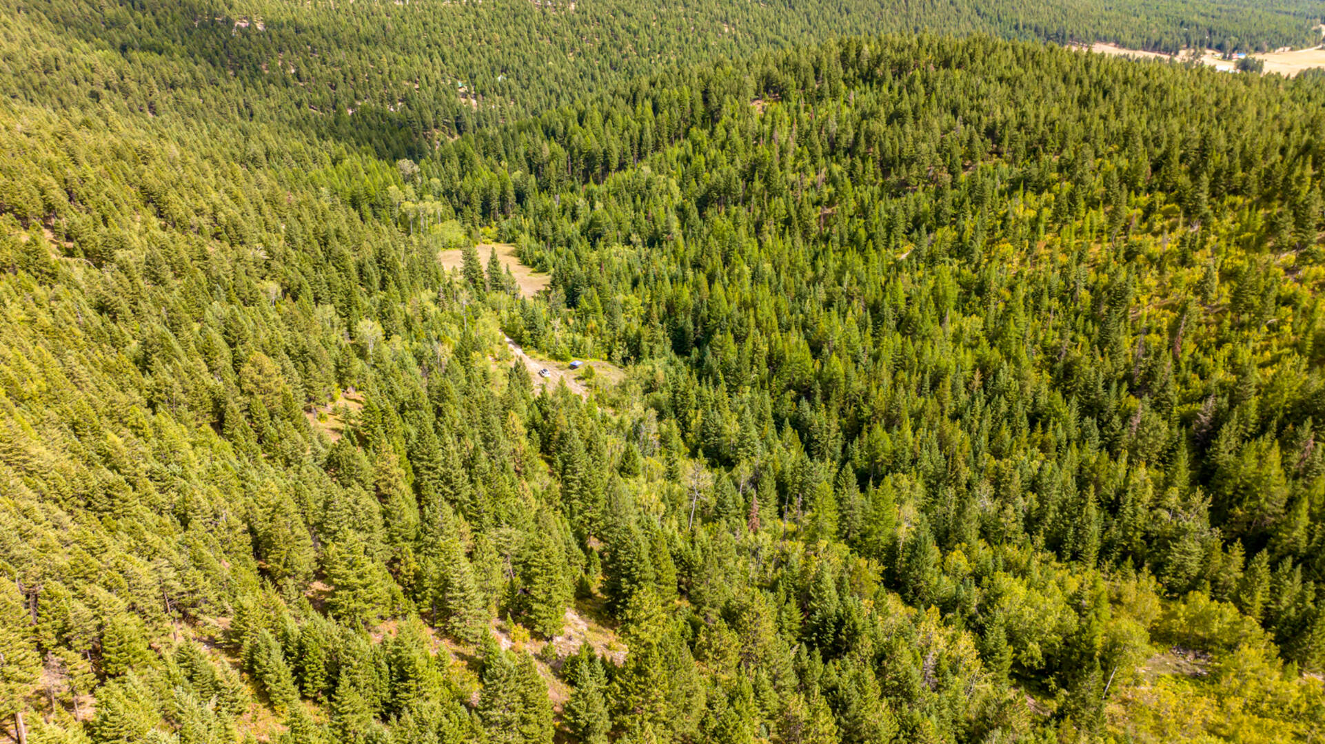 Nhn Sheep Lane Kalispell, MT 59901