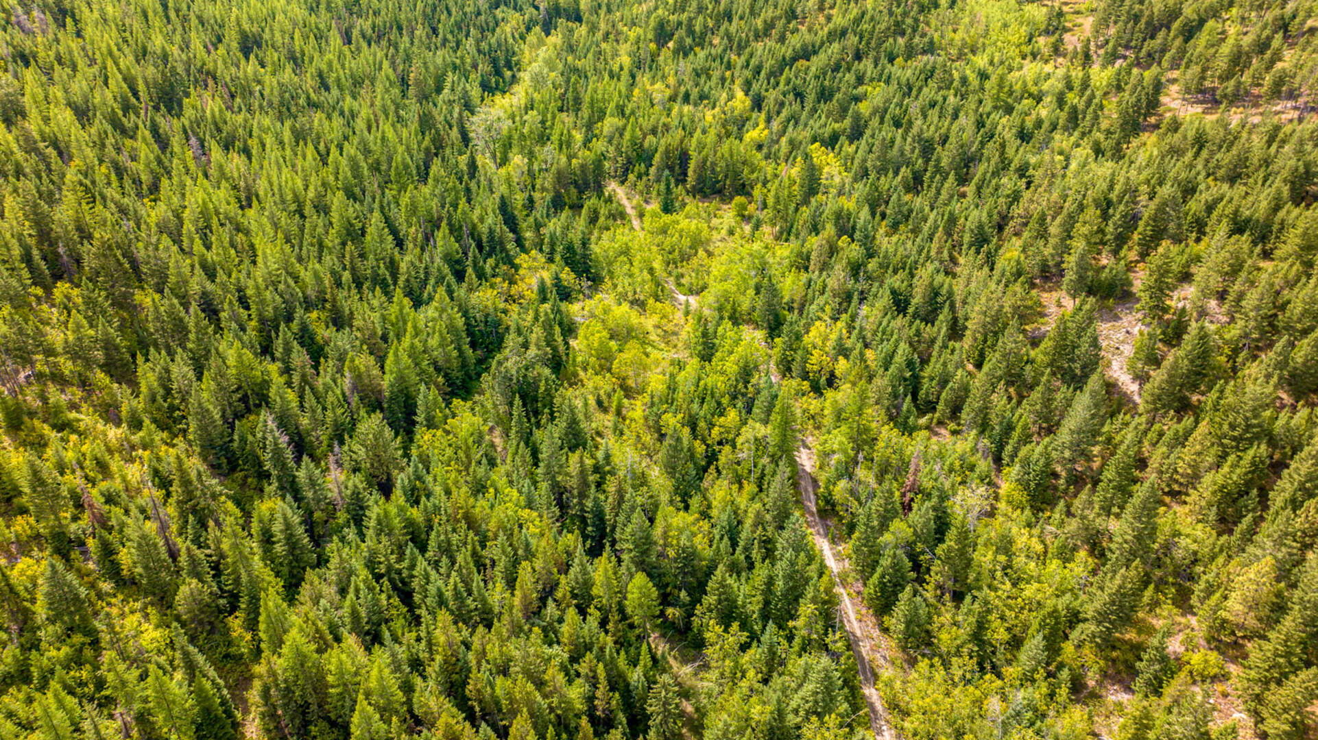 Nhn Sheep Lane Kalispell, MT 59901