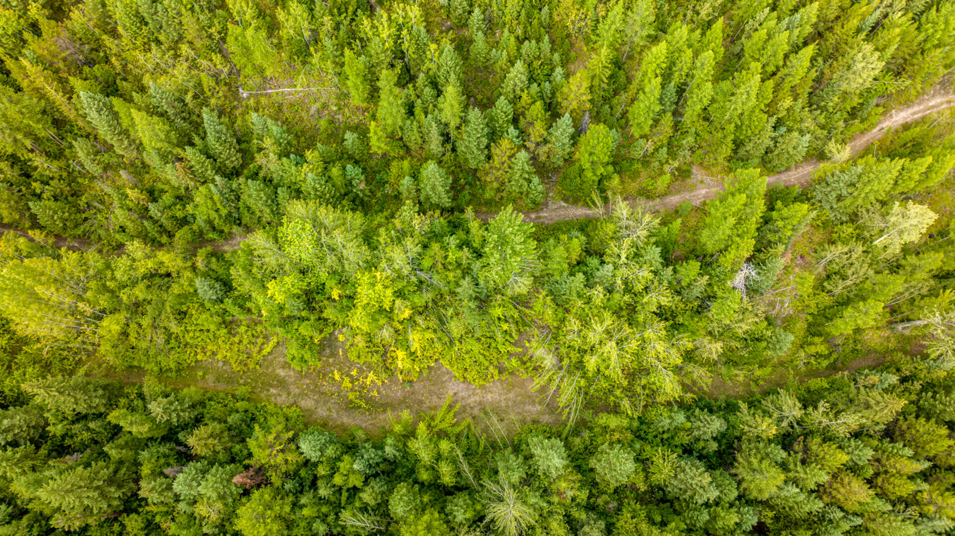 Nhn Sheep Lane Kalispell, MT 59901