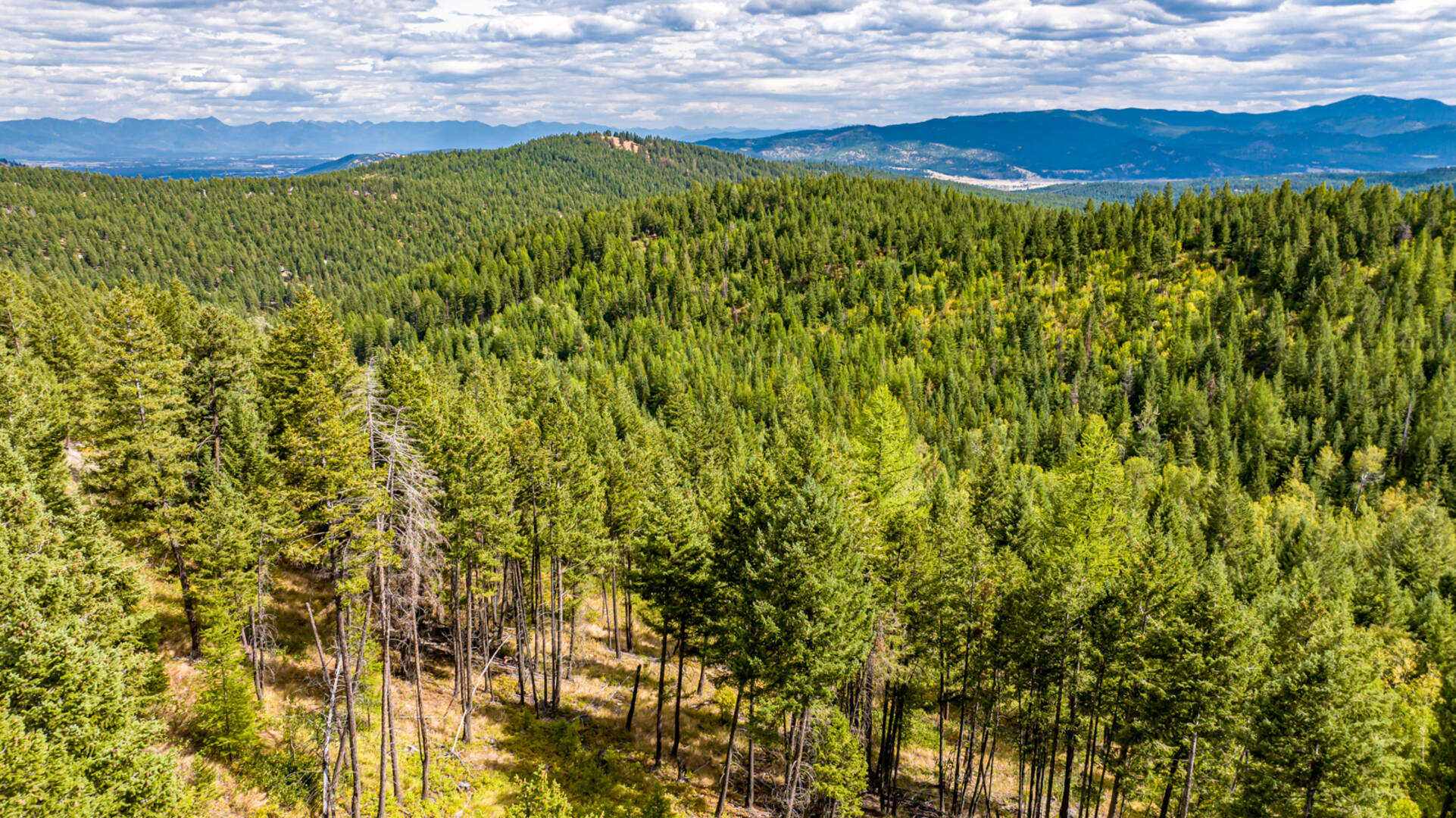Nhn Sheep Lane Kalispell, MT 59901
