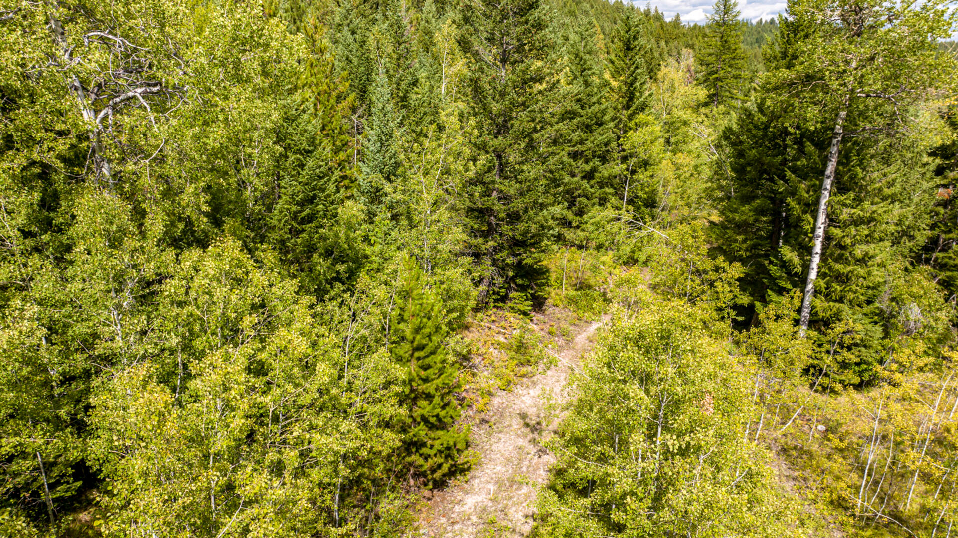 Nhn Sheep Lane Kalispell, MT 59901