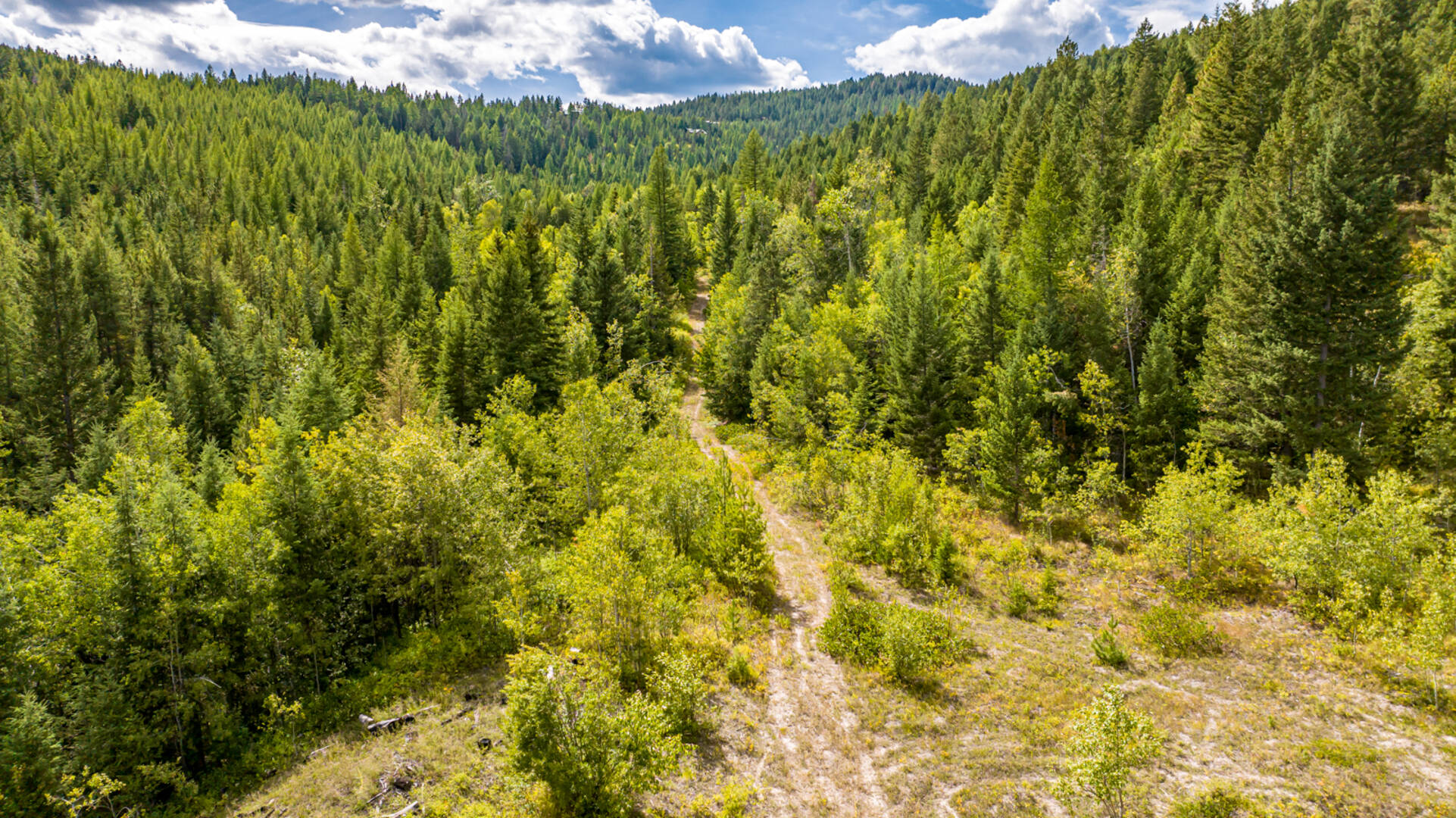 Nhn Sheep Lane Kalispell, MT 59901