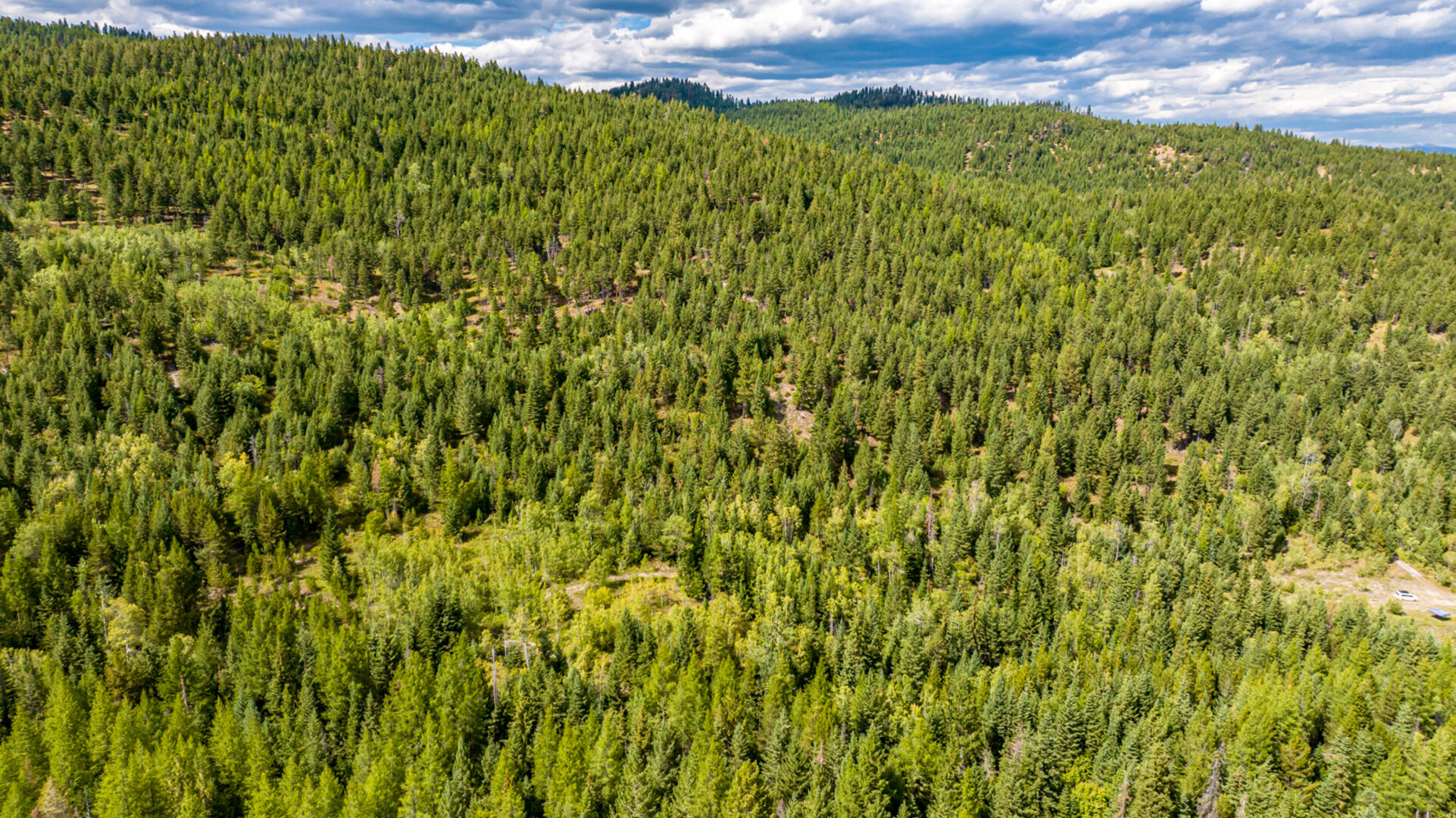 Nhn Sheep Lane Kalispell, MT 59901