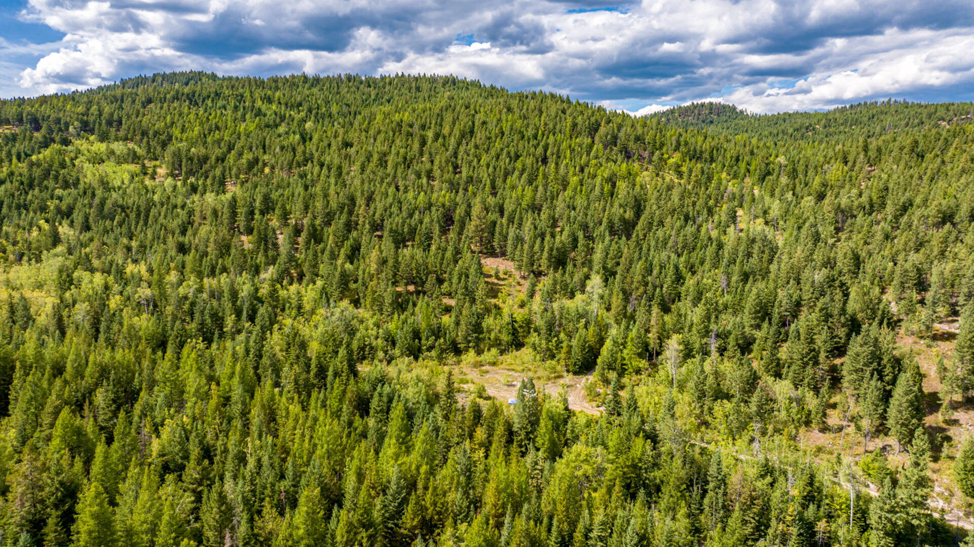 Nhn Sheep Lane Kalispell, MT 59901