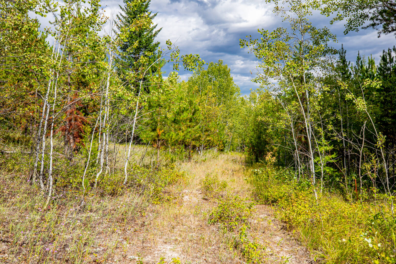 Nhn Sheep Lane Kalispell, MT 59901