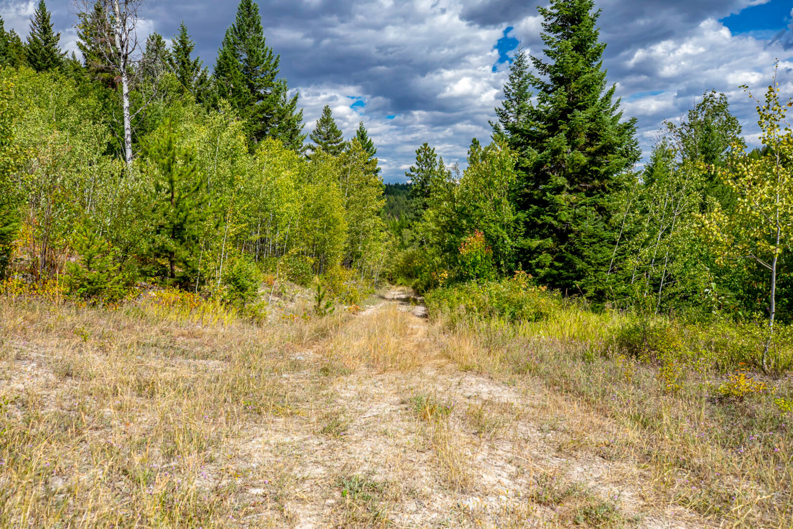 Nhn Sheep Lane Kalispell, MT 59901